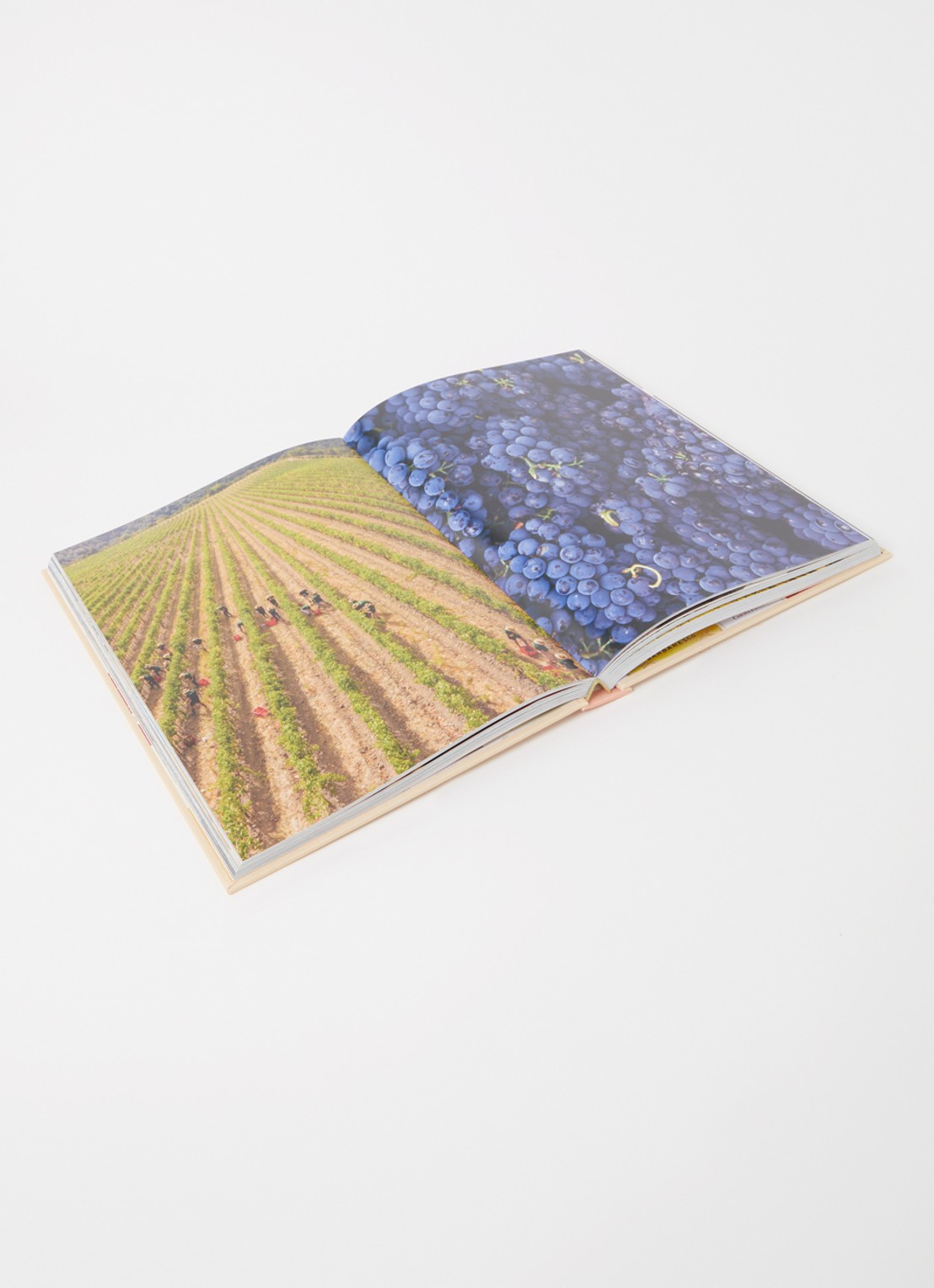 Assouline Wine & Travel Italy - voorkant 2 zalmroze