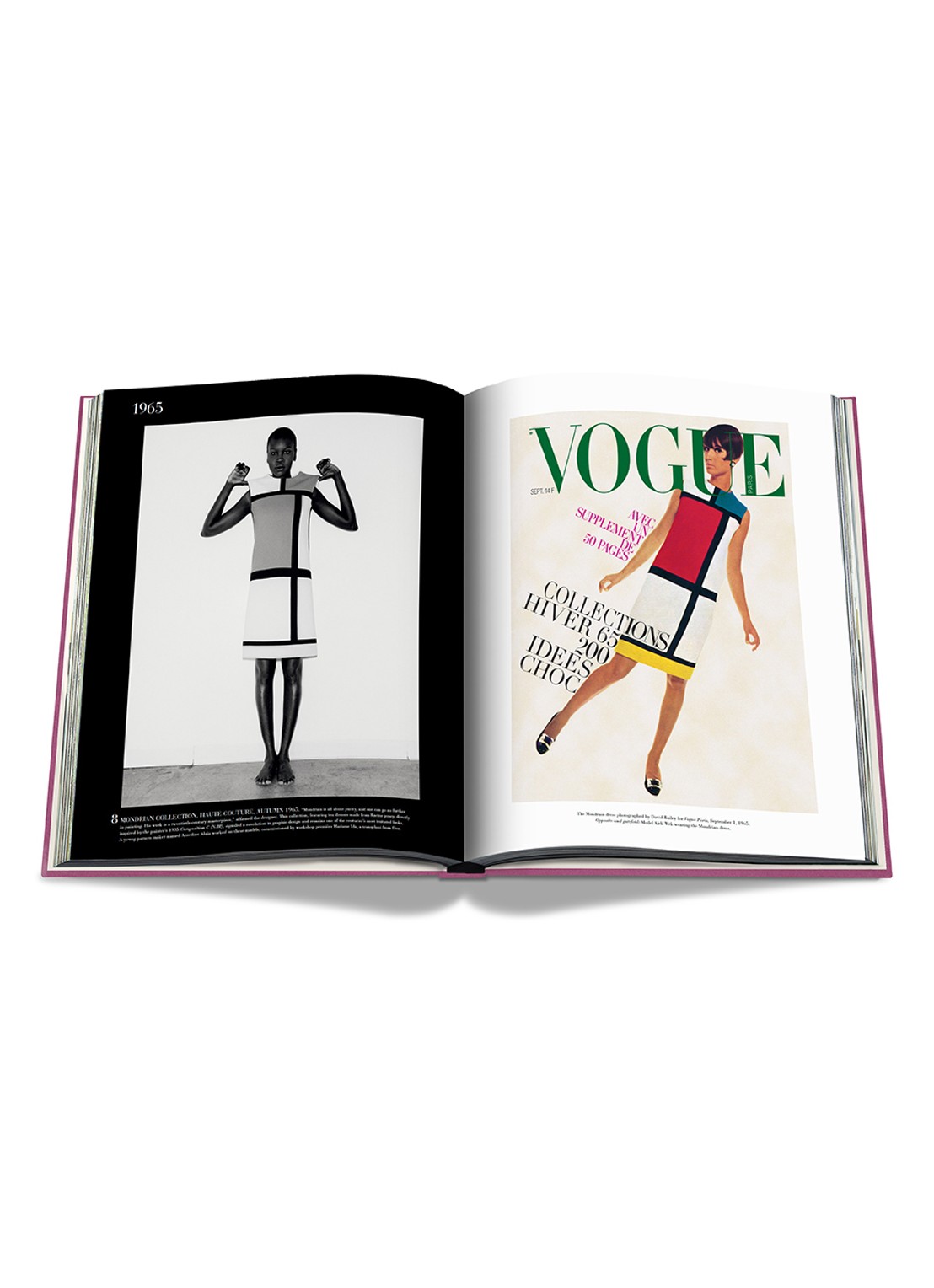 Assouline Yves Saint-Laurent: The Impossible Collection - detail paars