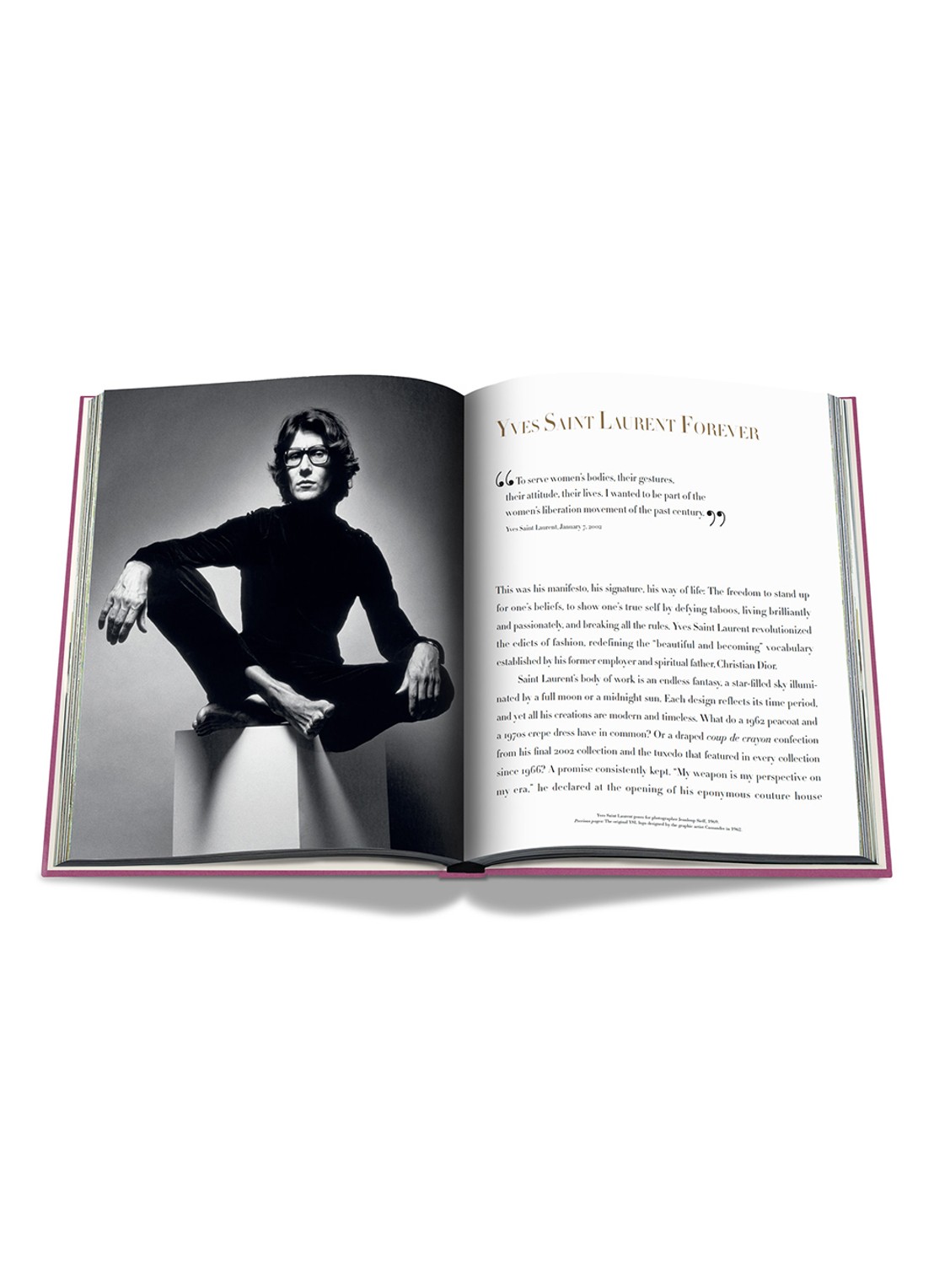 Assouline Yves Saint-Laurent: The Impossible Collection - detail 3 paars