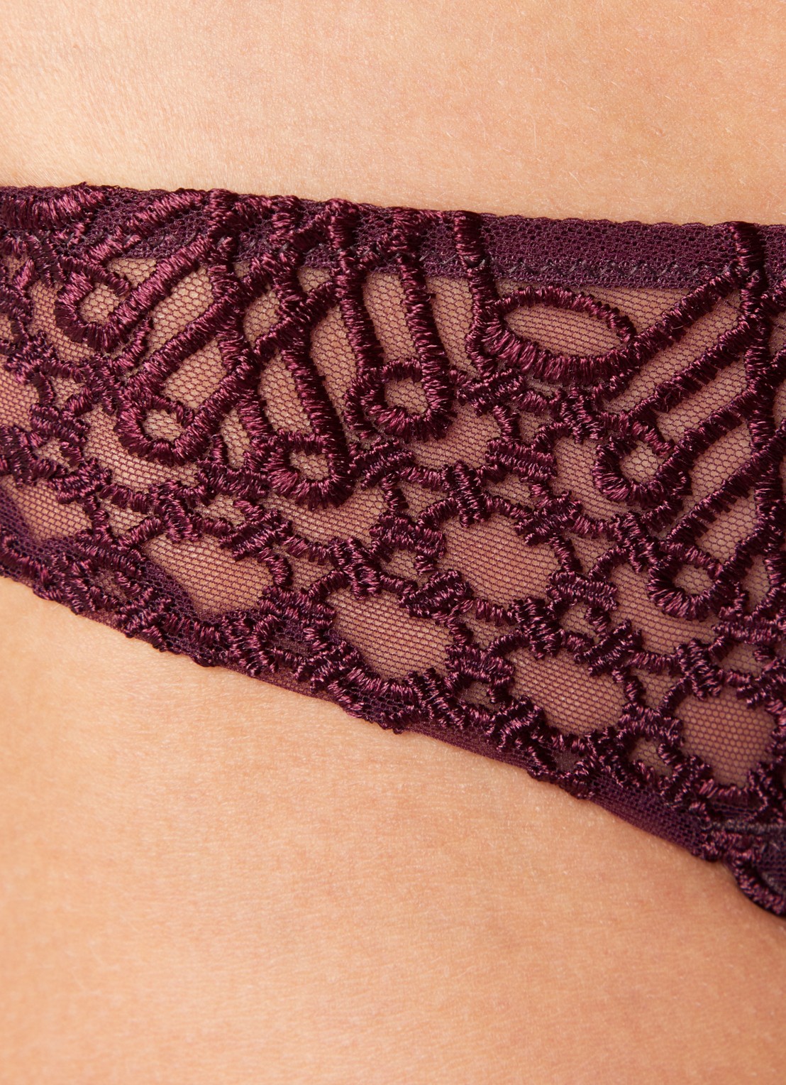 Aubade Eloge Du Desir slip van mesh - detail 4 aubergine