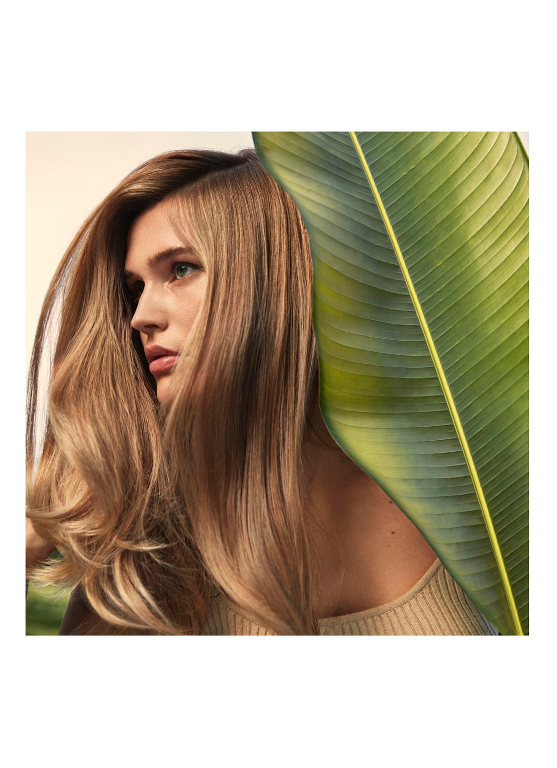 AVEDA Nutriplenish Multi-Use Hair Oil - haarolie - detail 3 undefined
