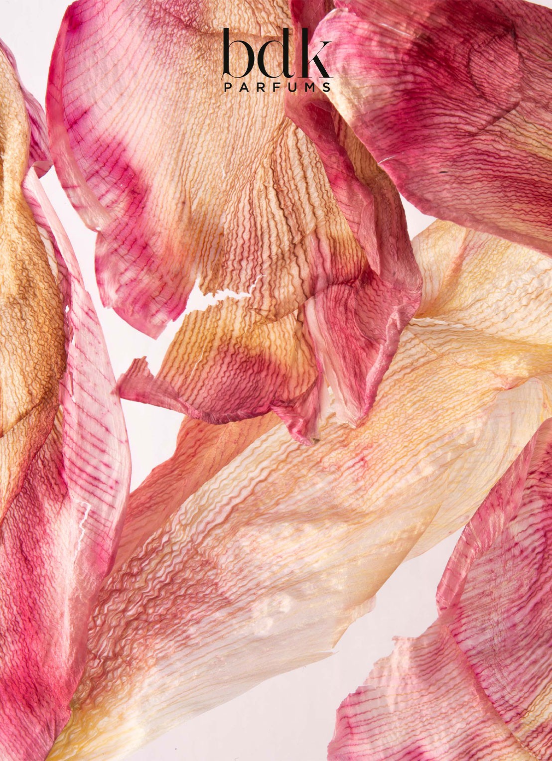BDK Parfums Tabac Rose Eau de Parfum  - detail 5 undefined