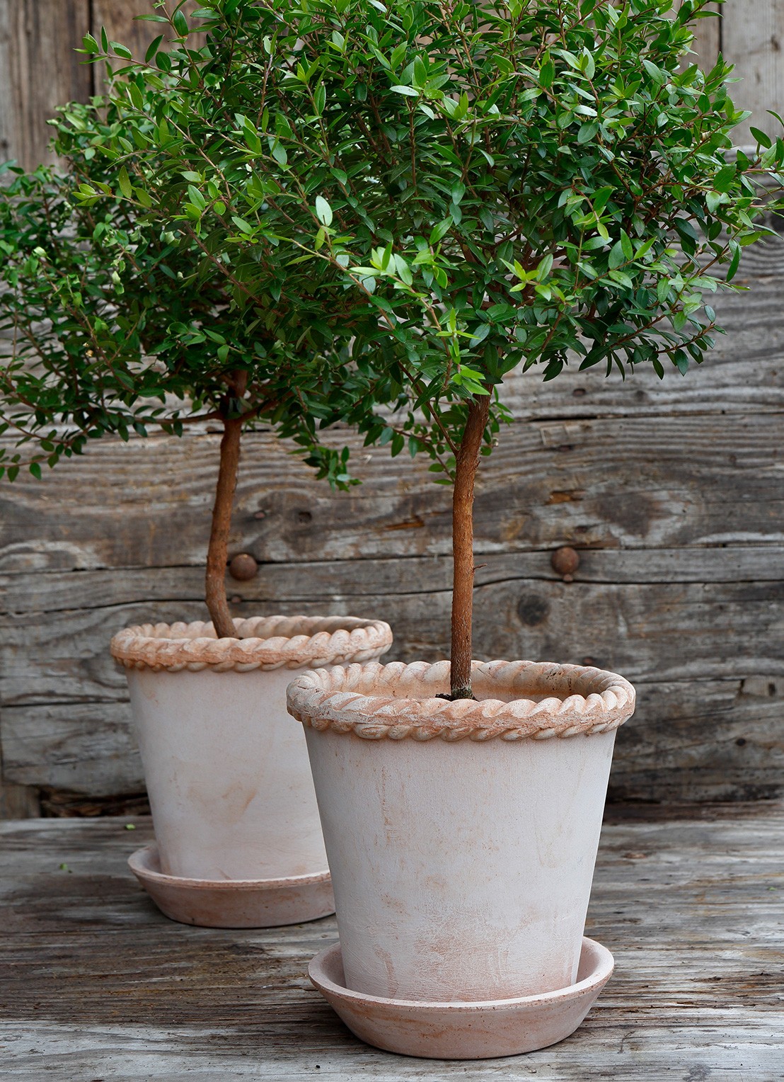 Bergs Potter Emilia bloempot voor binnen en buiten Ø16 cm - voorkant 2 donkerbeige
