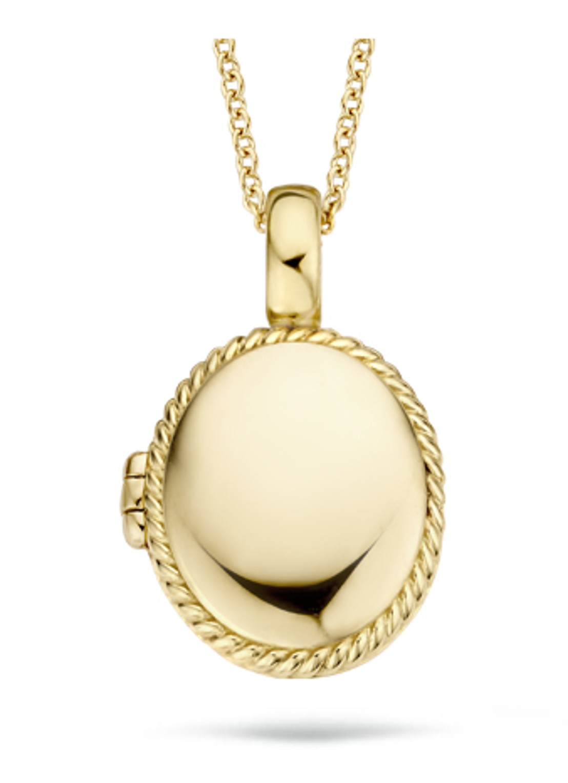 Blush Hanger van 14 karaat geelgoud 6081YGO  - voorkant geelgoud