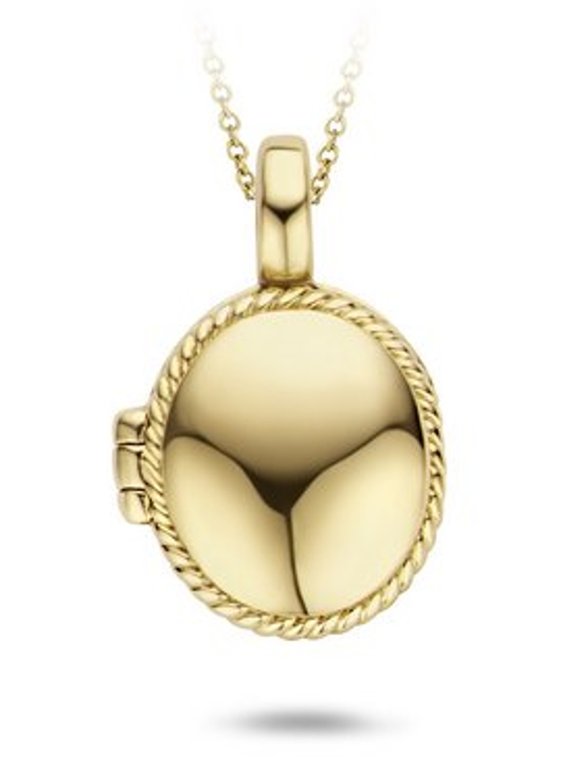 Blush Hanger van 14 karaat geelgoud 6086YGO - voorkant geelgoud