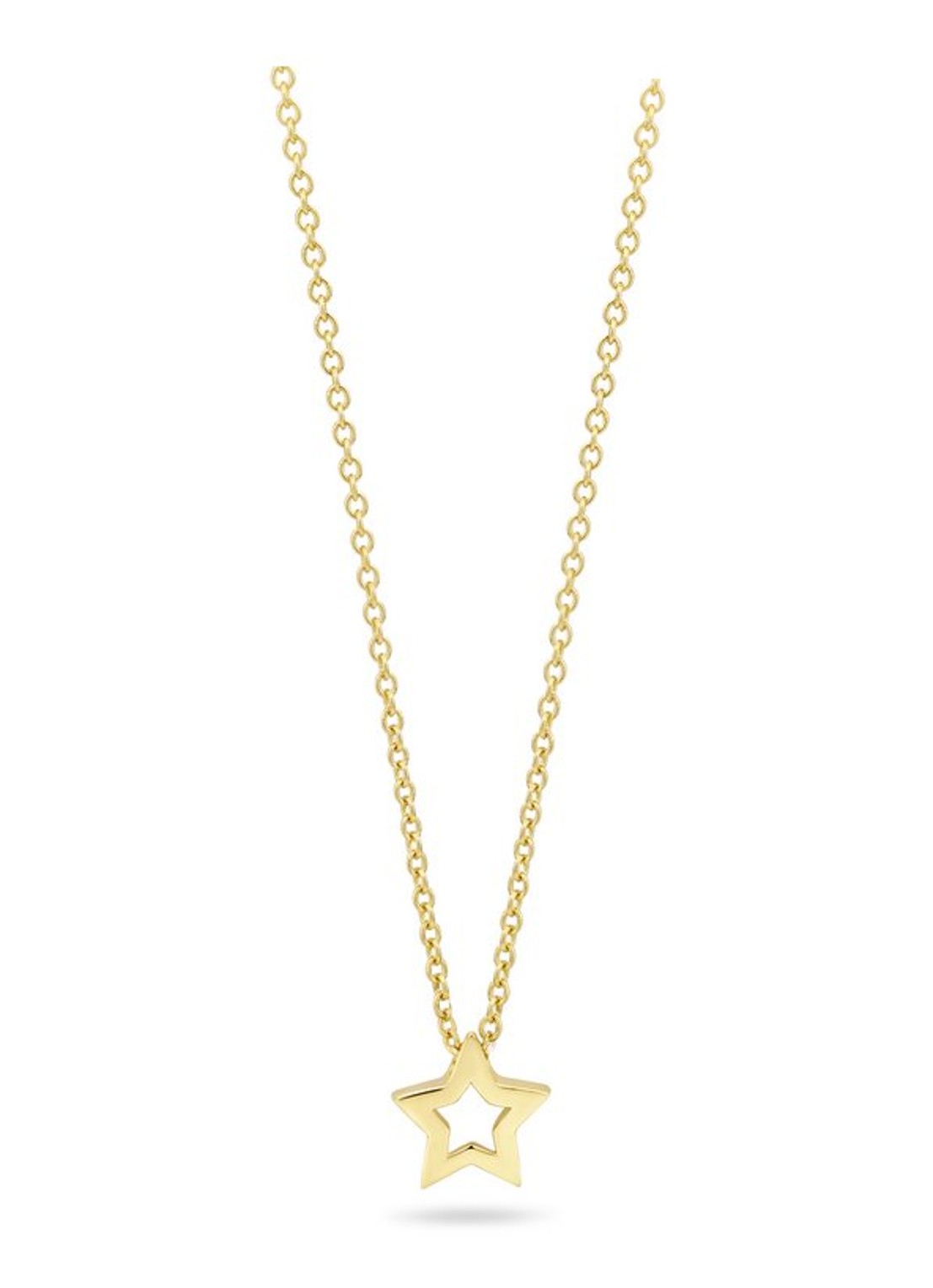 Blush Ketting van 14 karaat geelgoud 3151YGO - voorkant geelgoud