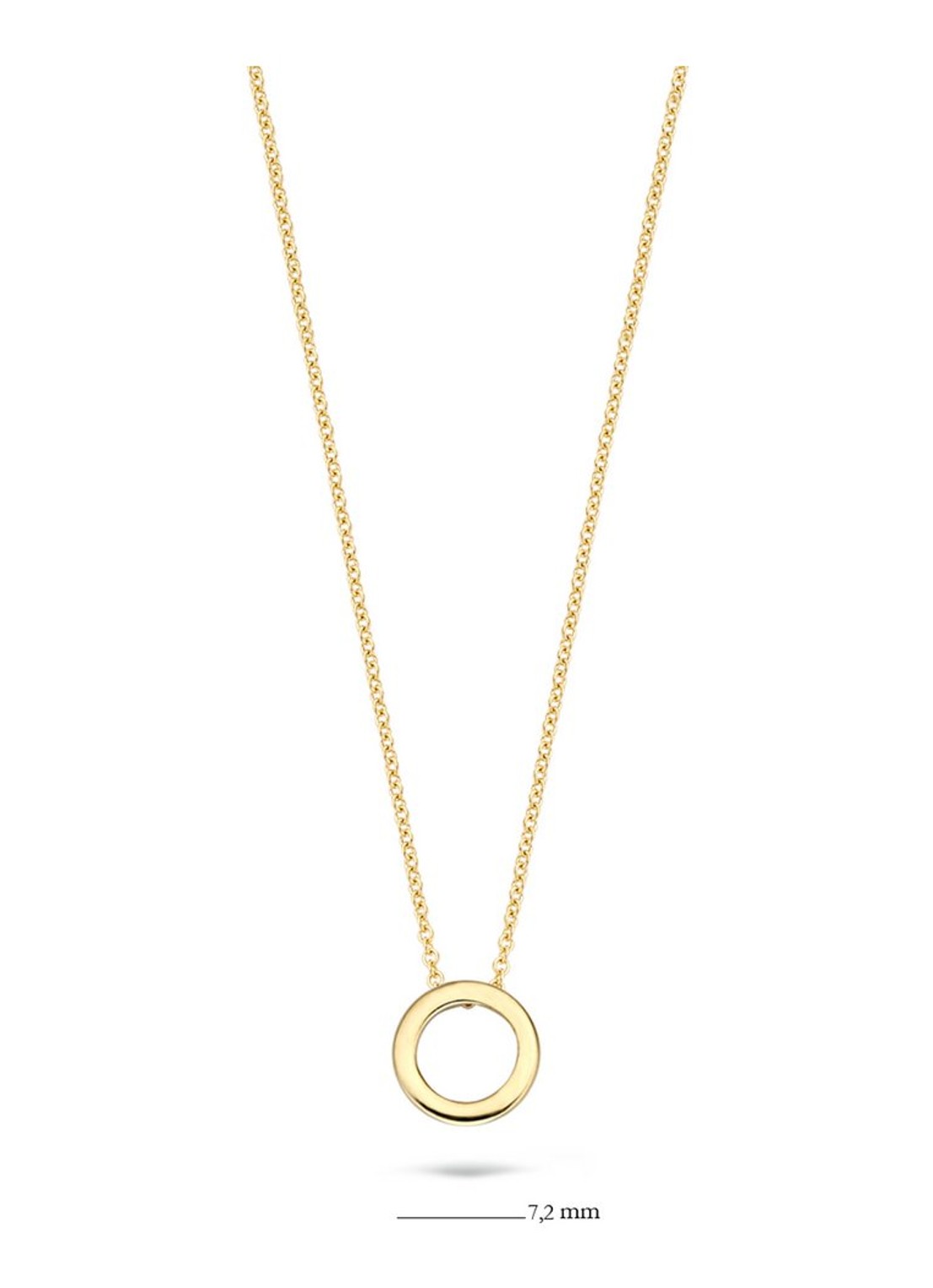 Blush Ketting van 14K goud met hanger 3083YGO - detail goud