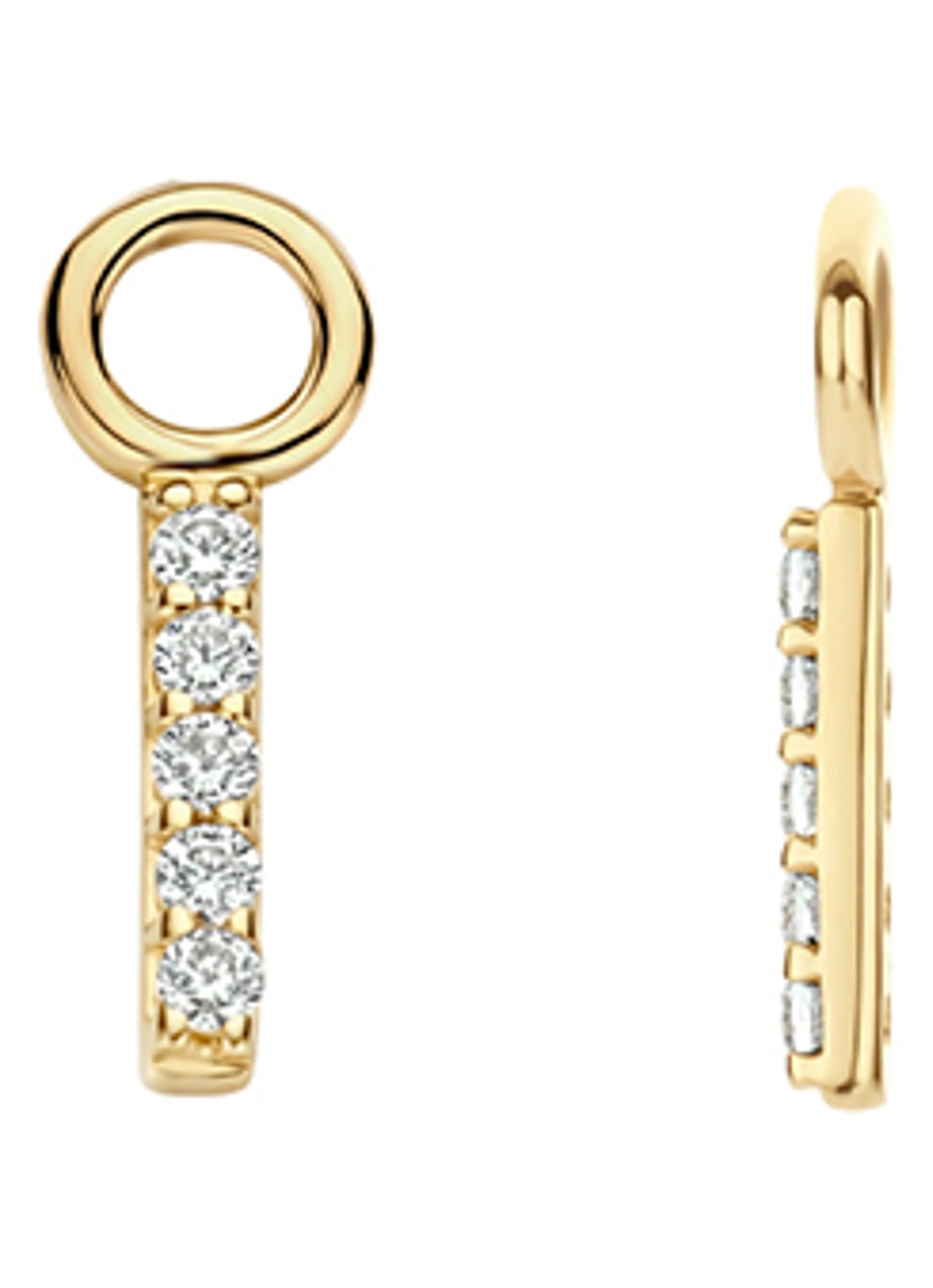 Blush Oorbedels van 14 karaat geelgoud 9094YZI - detail goud