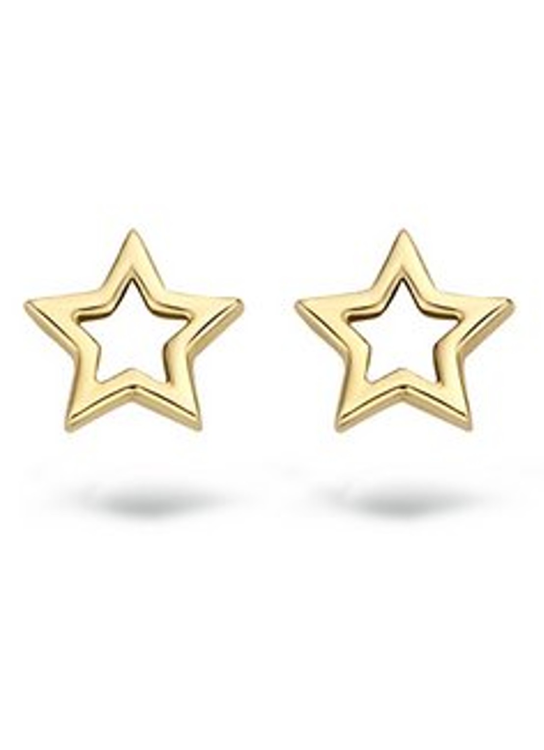 Blush Oorknopjes van 14 karaat geelgoud 7348YGO - voorkant geelgoud