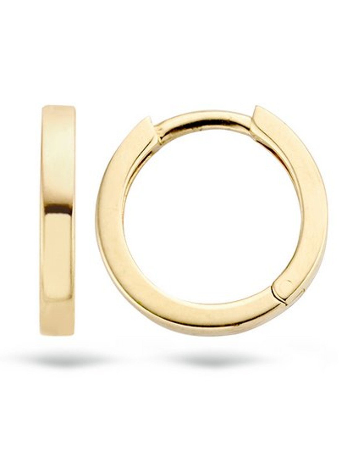 Blush Oorringen van 14 karaat geelgoud 7202YGO - detail 2 goud