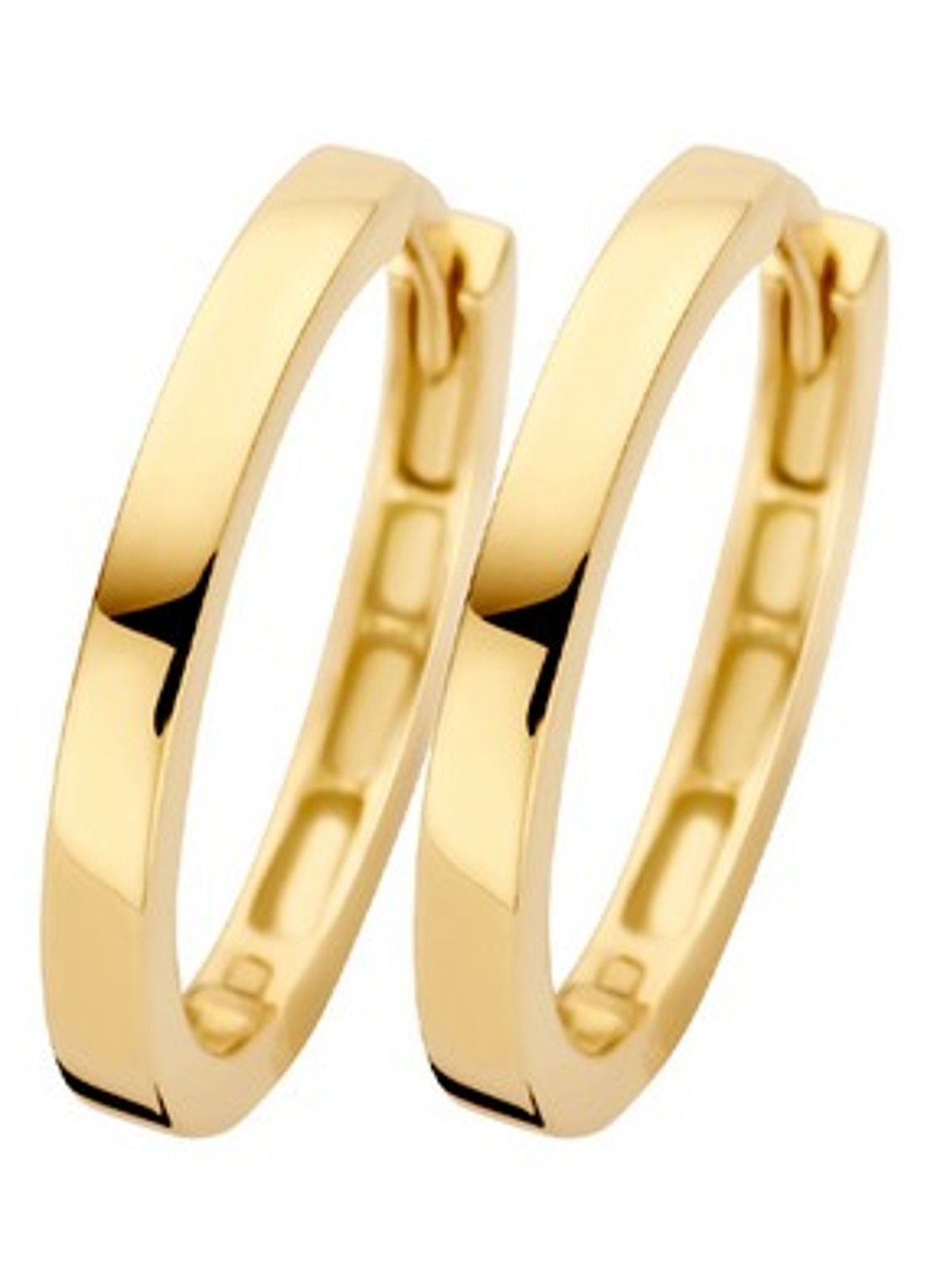 Blush Oorringen van 14 karaat geelgoud 7308YGO - voorkant goud