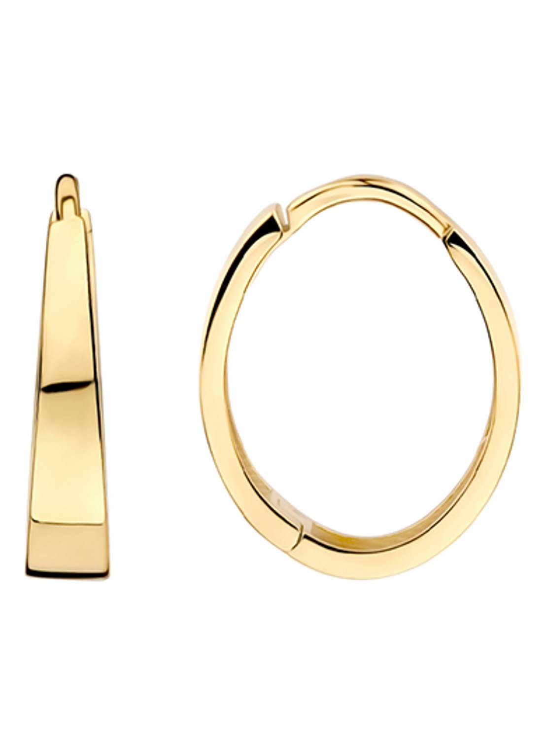 Blush Oorringen van 14 karaat geelgoud 7379YGO - detail 4 goud