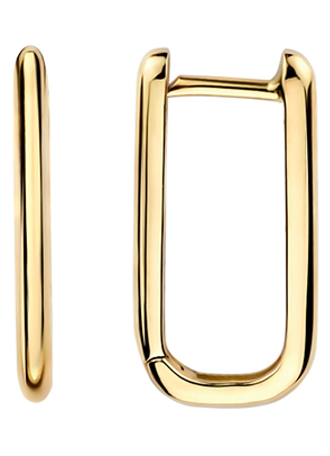 Blush Oorringen van 14 karaat geelgoud 7380YGO - detail 4 goud