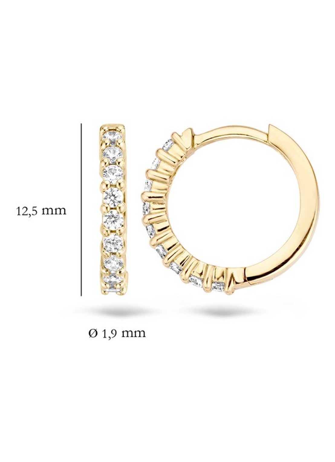 Blush Oorringen van 14 karaat geelgoud met zirkonia 7166YZI - detail 2 goud