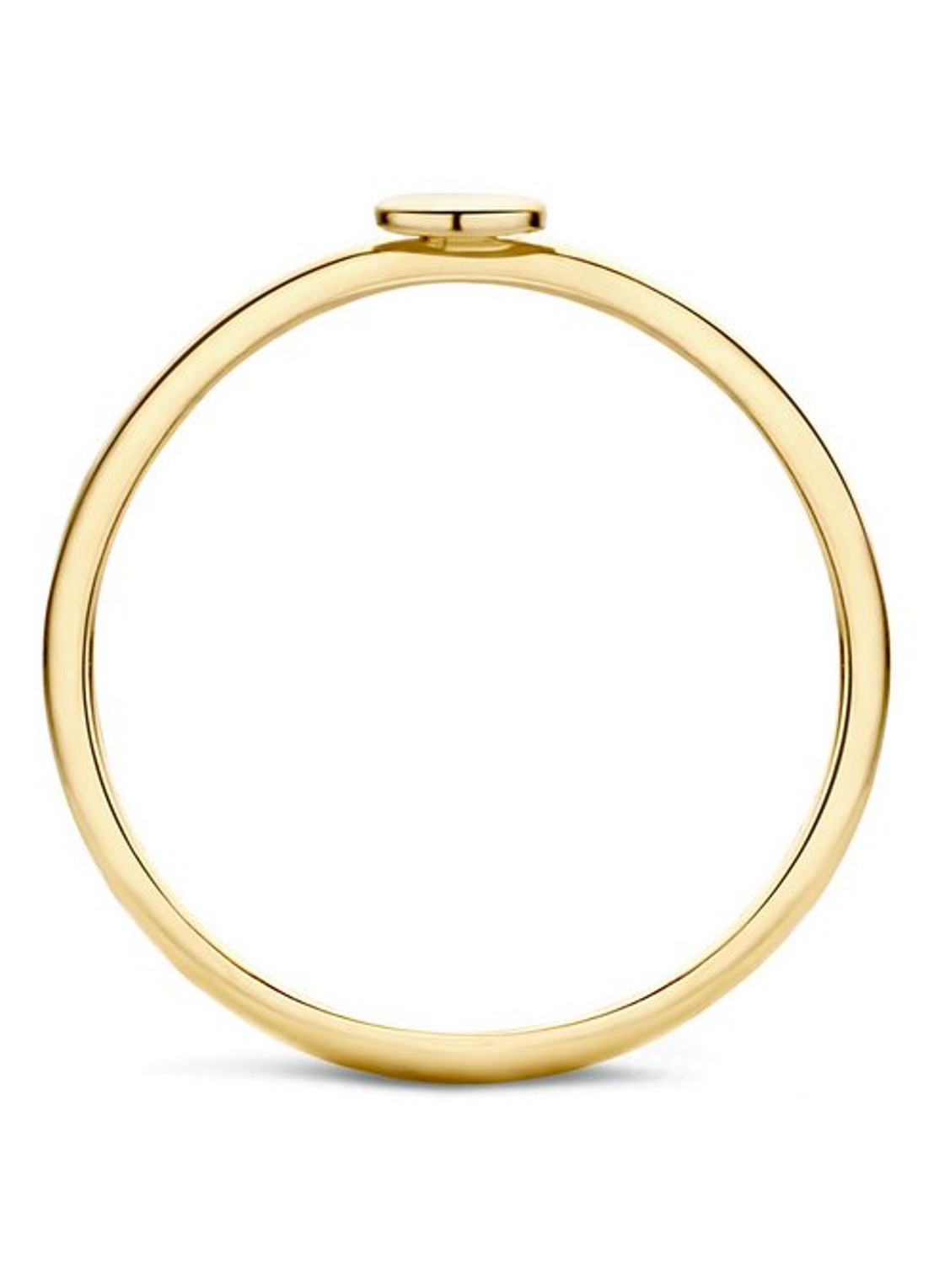 Blush Ring van 14 karaat geelgoud 1212YGO - detail goud