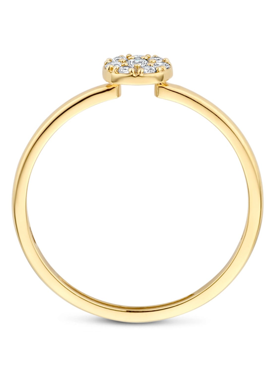 Blush Ring van 14 karaat geelgoud  1277YZI - detail 4 goud