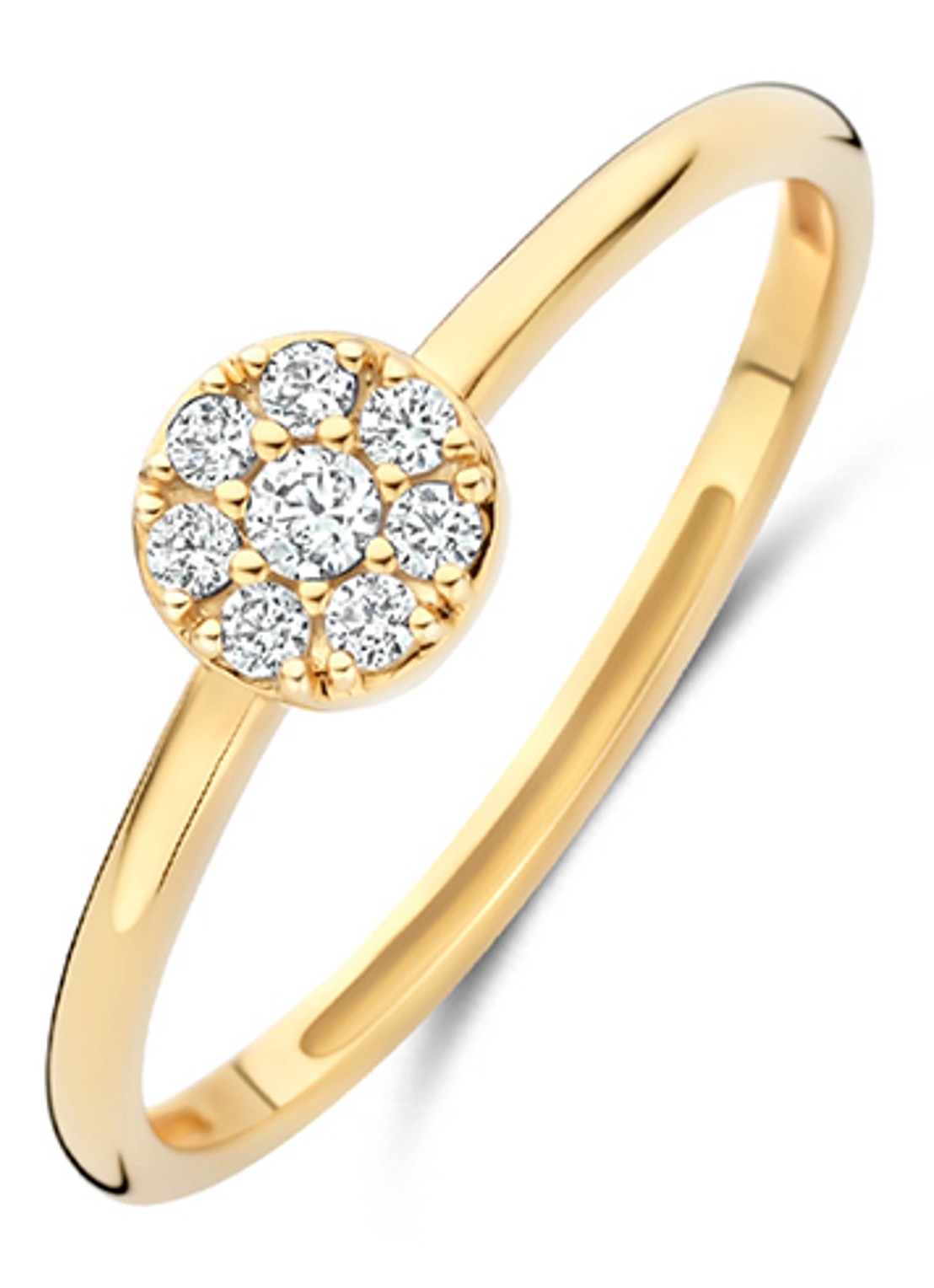 Blush Ring van 14 karaat geelgoud  1277YZI - voorkant goud