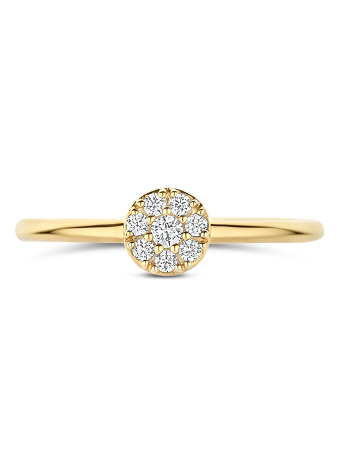 Blush Ring van 14 karaat geelgoud  1277YZI - voorkant 2 goud