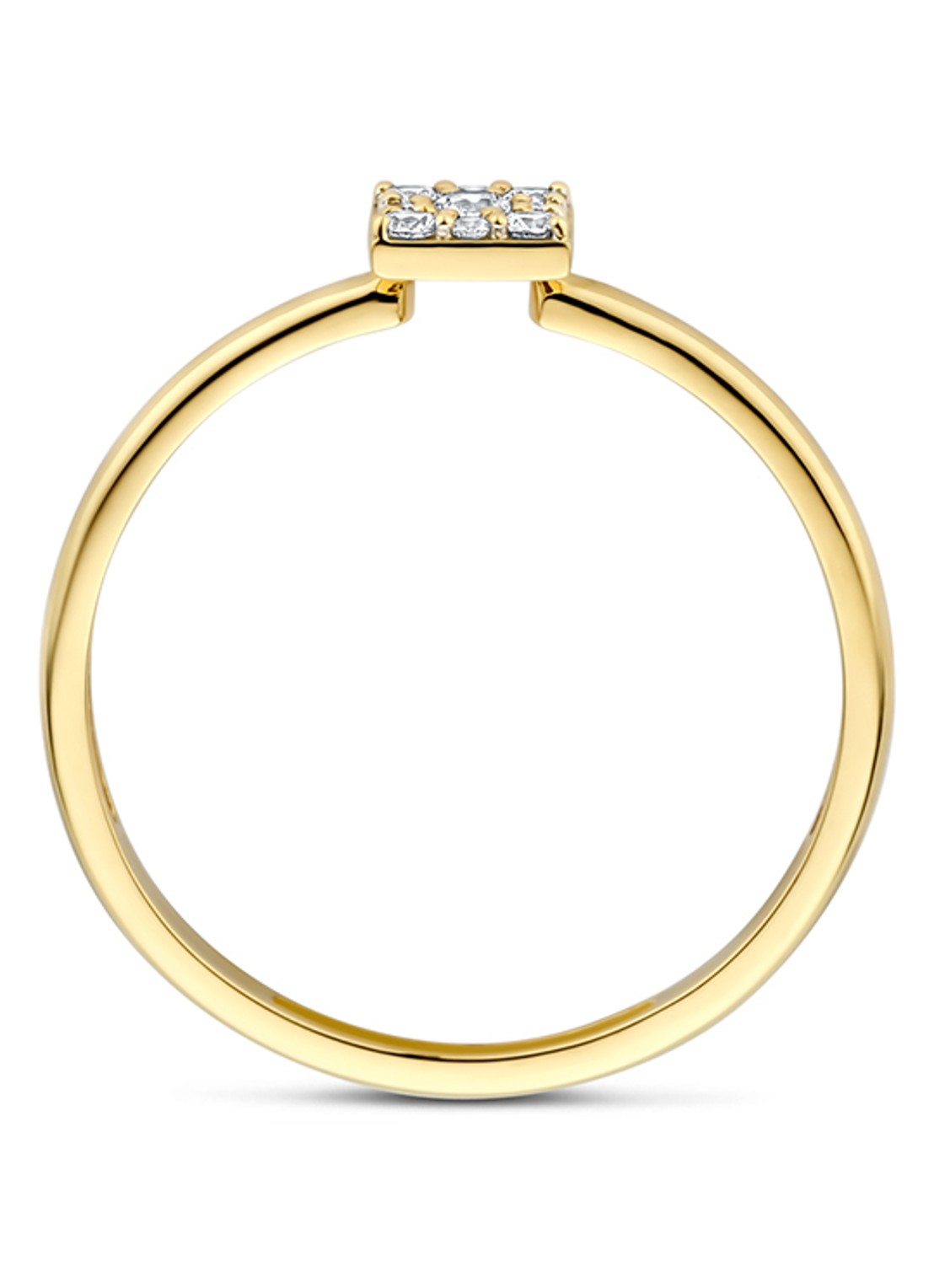 Blush Ring van 14 karaat geelgoud 1278YZI - detail 4 goud