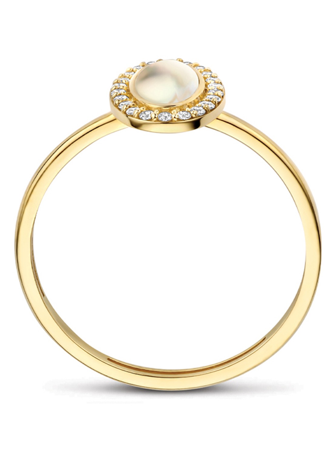 Blush Ring van 14 karaat geelgoud 1279YMQ - detail 4 undefined