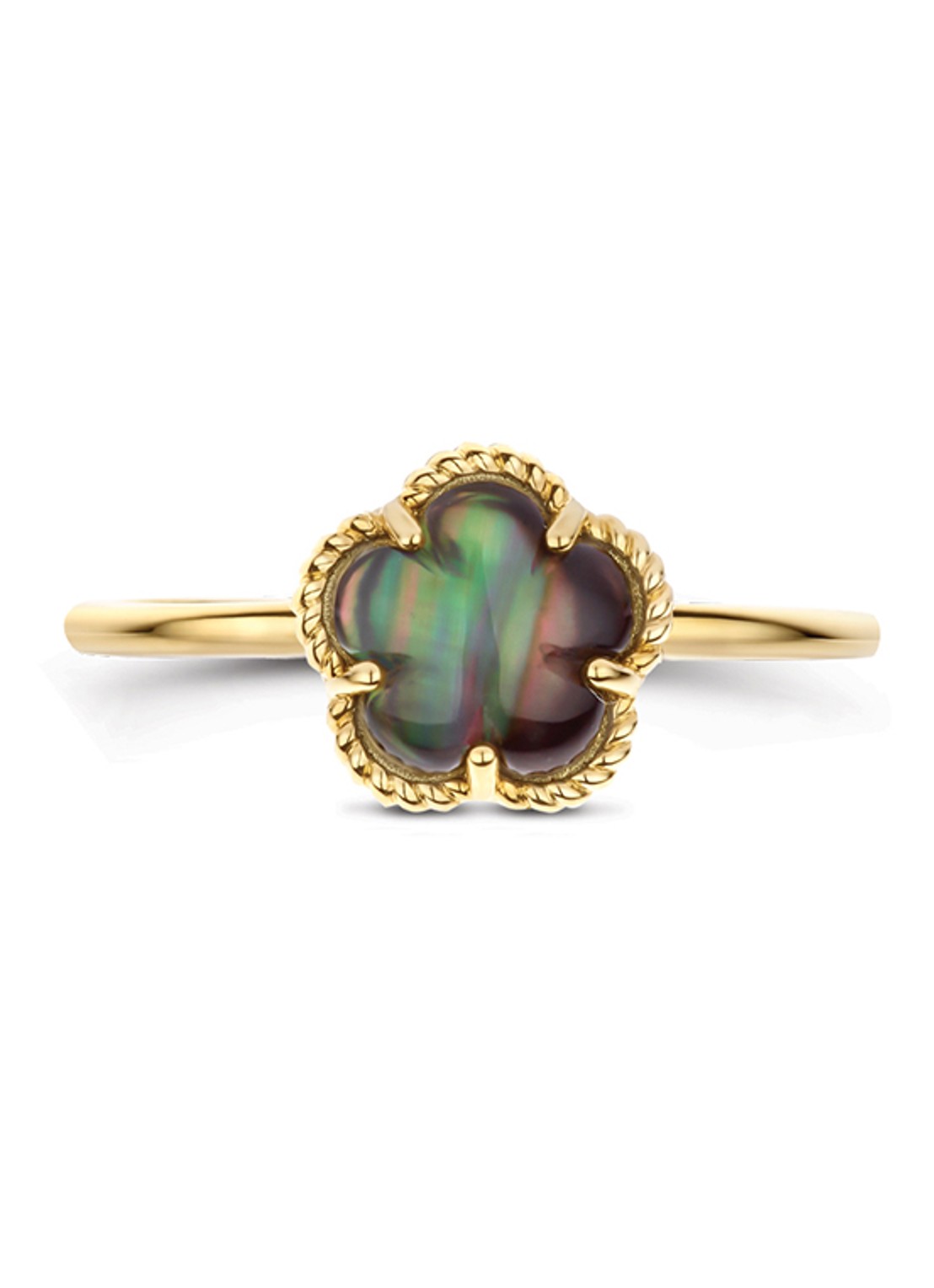 Blush Ring van 14 karaat geelgoud 1280YBQ - detail undefined