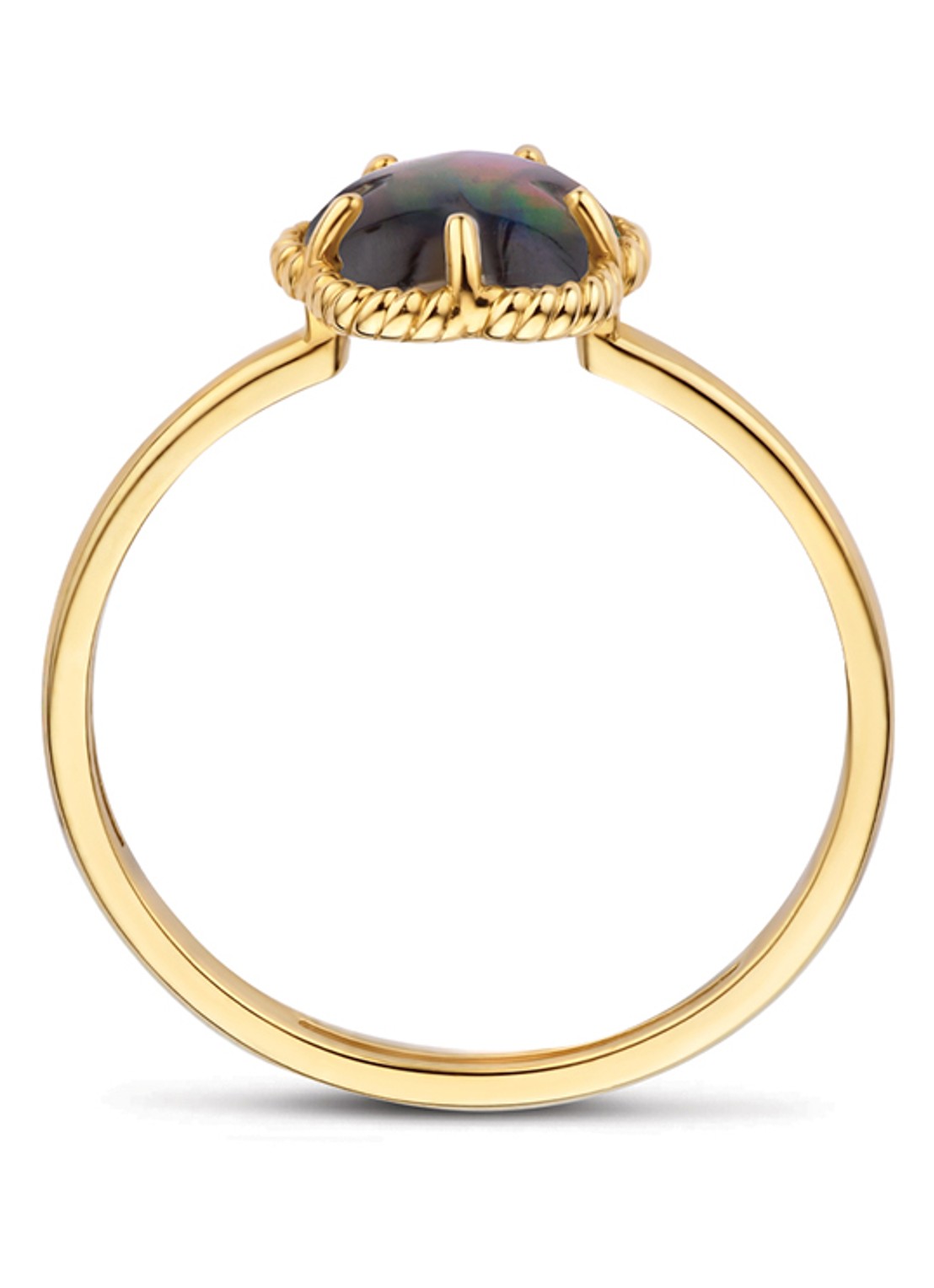 Blush Ring van 14 karaat geelgoud 1280YBQ - detail 2 undefined