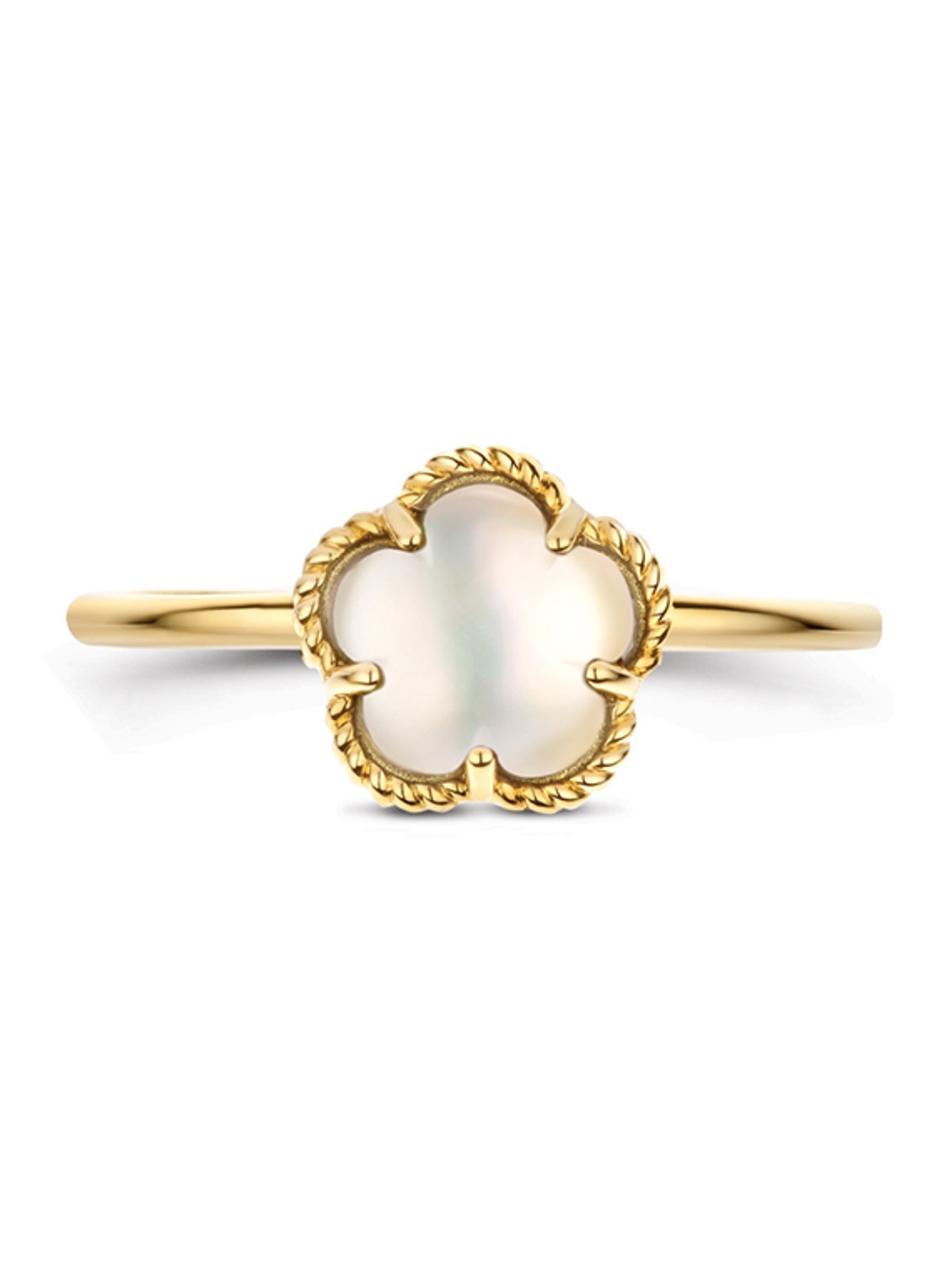 Blush Ring van 14 karaat geelgoud 1280YMQ  - detail geelgoud