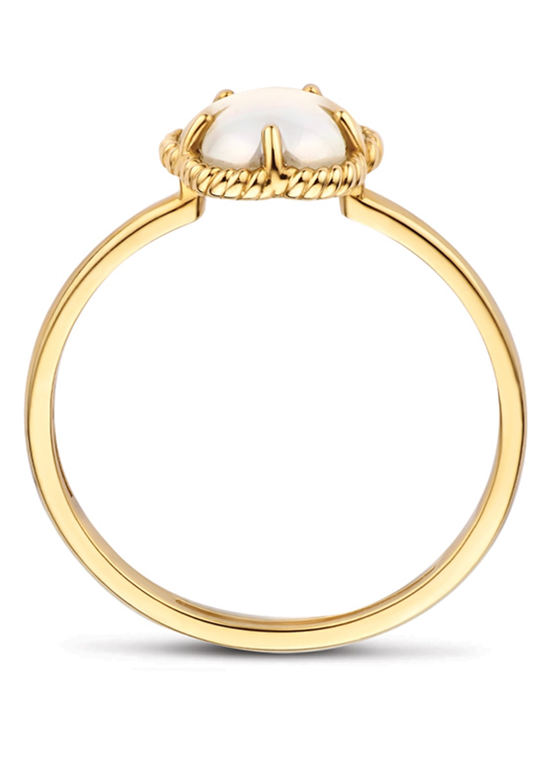 Blush Ring van 14 karaat geelgoud 1280YMQ  - detail 2 geelgoud