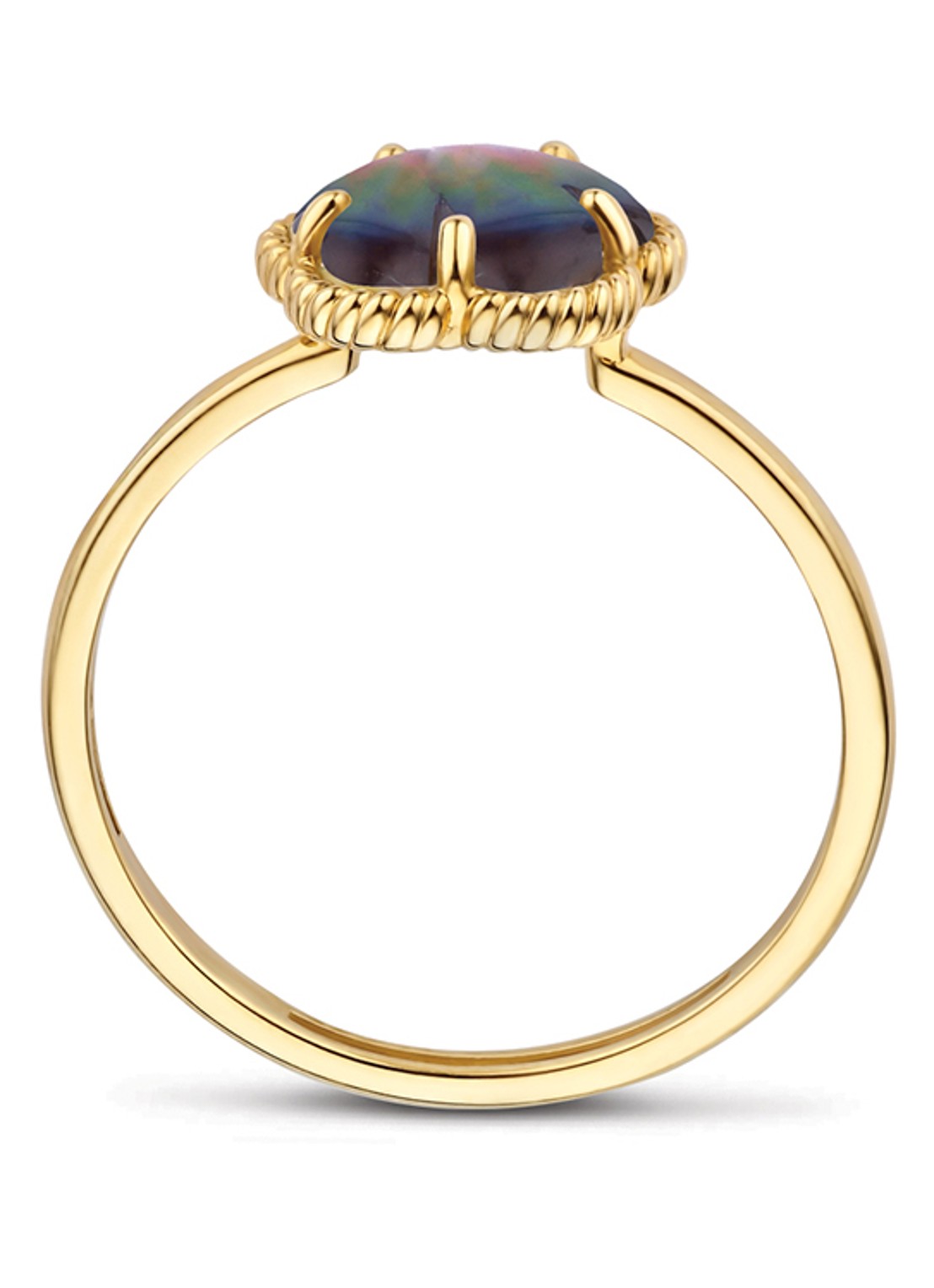 Blush Ring van 14 karaat geelgoud 1281YBQ  - detail 4 geelgoud