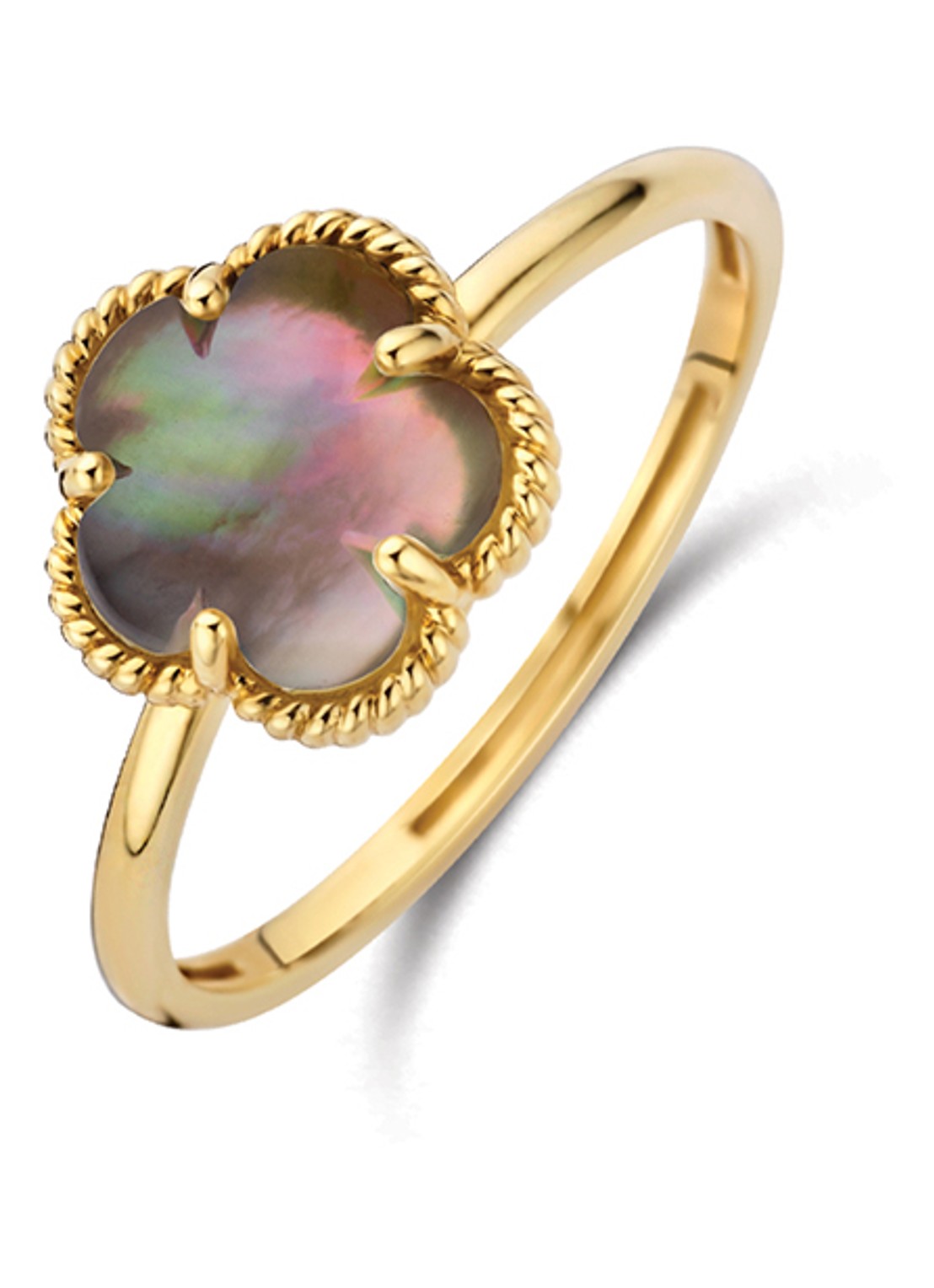 Blush Ring van 14 karaat geelgoud 1281YBQ  - voorkant geelgoud