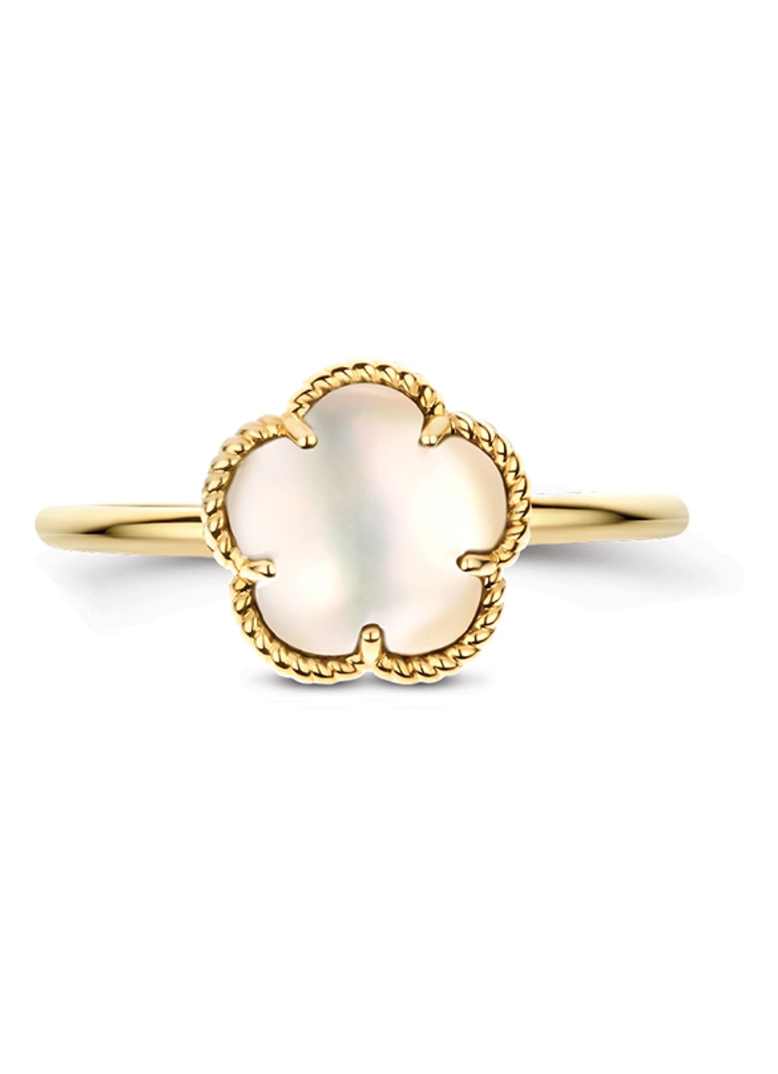 Blush Ring van 14 karaat geelgoud 1281YMQ - detail 3 geelgoud