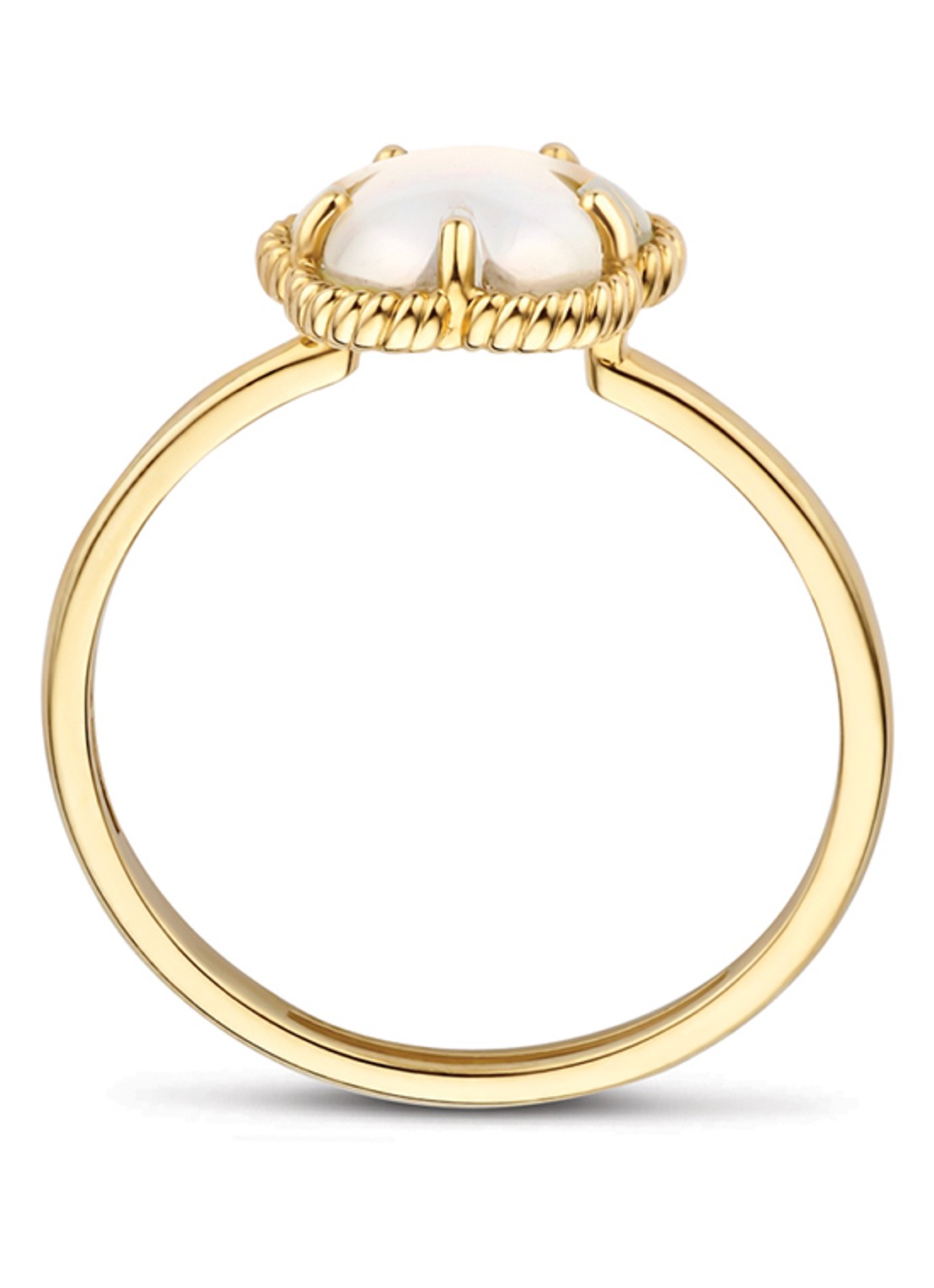 Blush Ring van 14 karaat geelgoud 1281YMQ - detail 4 geelgoud