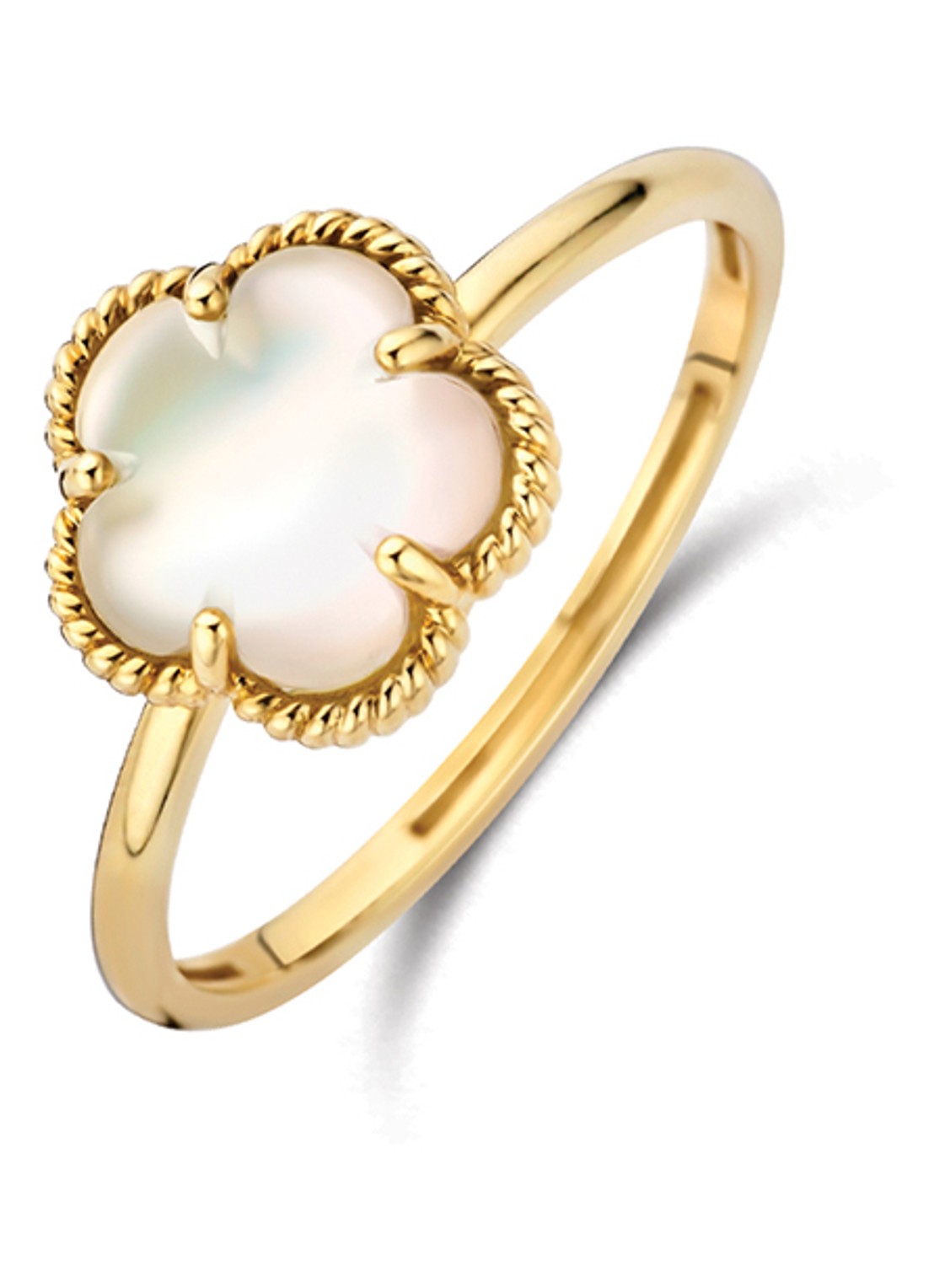 Blush Ring van 14 karaat geelgoud 1281YMQ - voorkant geelgoud