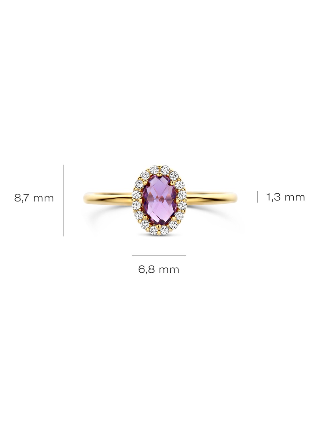 Blush Ring van 14 karaat geelgoud met amethist 1271YAM  - detail goud
