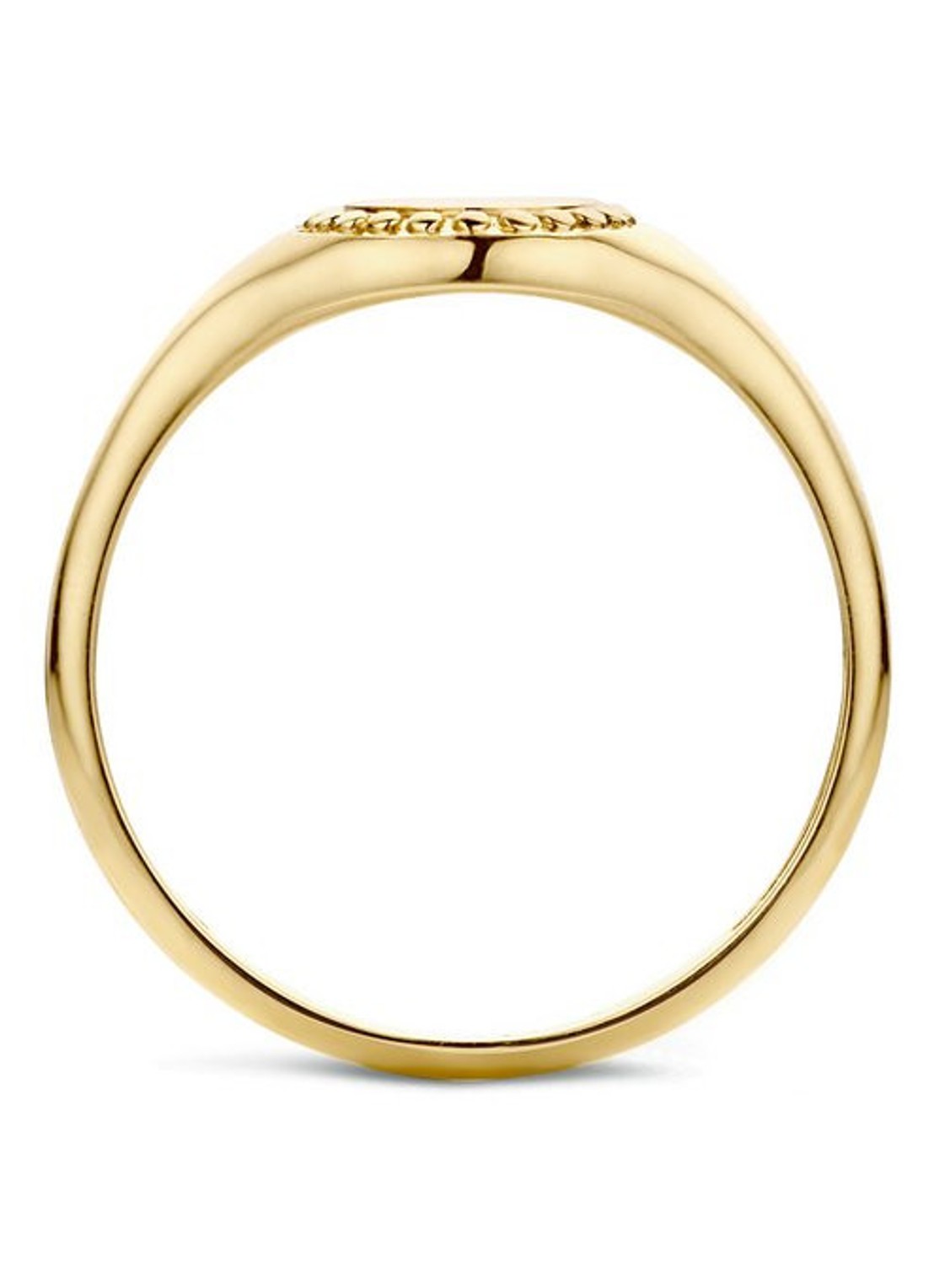 Blush Zegelring van 14 karaat geelgoud 1205YGO - detail geelgoud