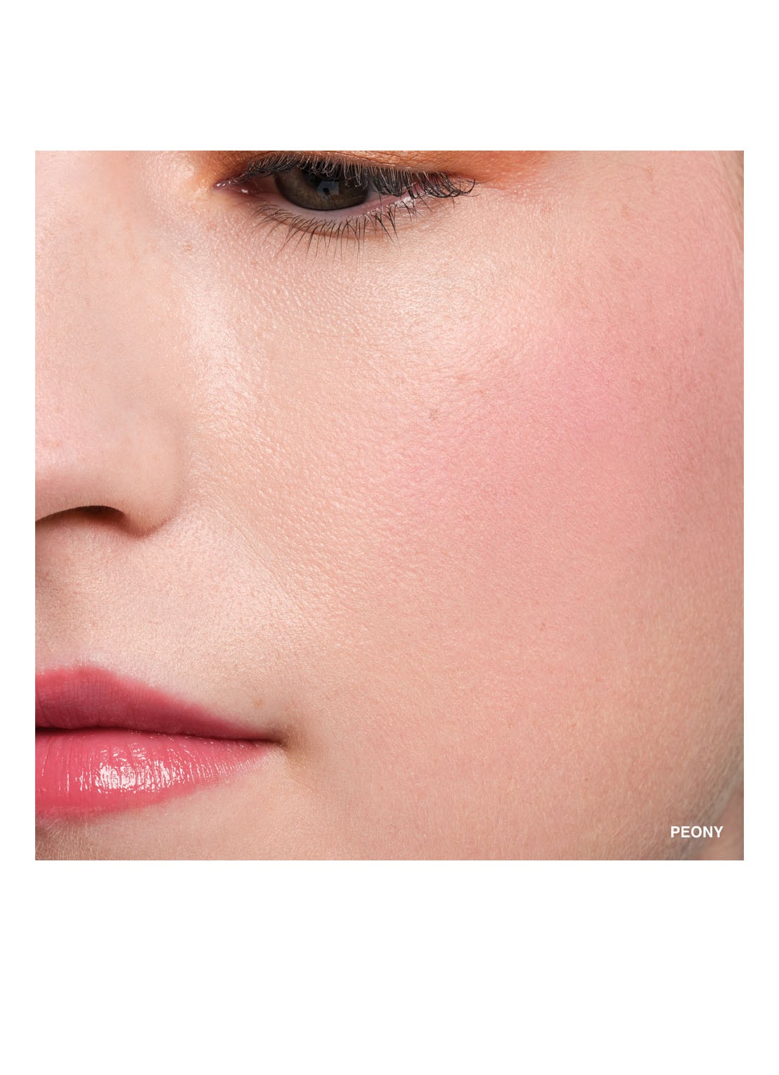 Bobbi Brown Pot Rouge Velvet Matte - 2-in-1 blush - detail 2 peony