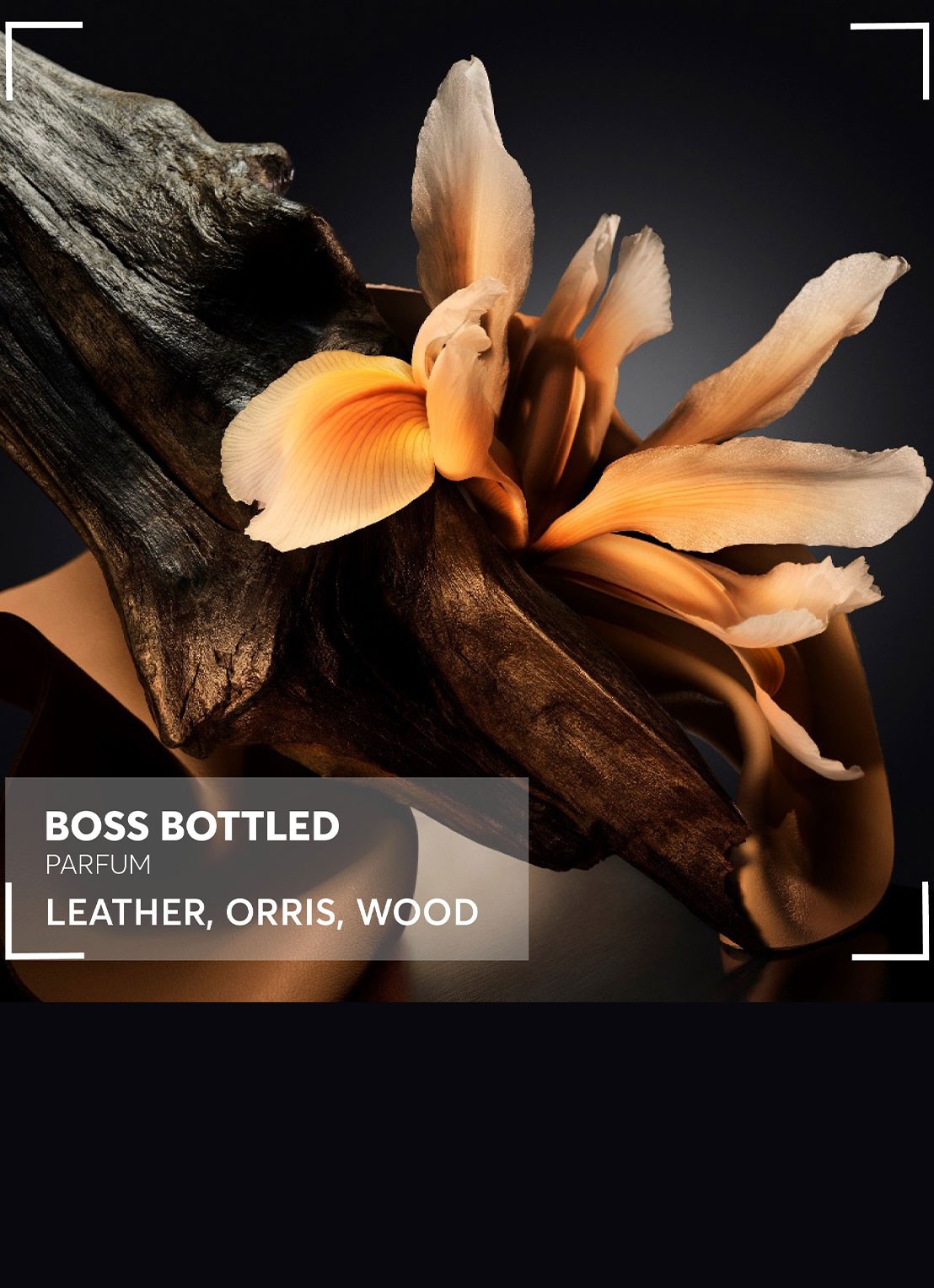 BOSS BOSS Bottled Parfum - detail 5 undefined