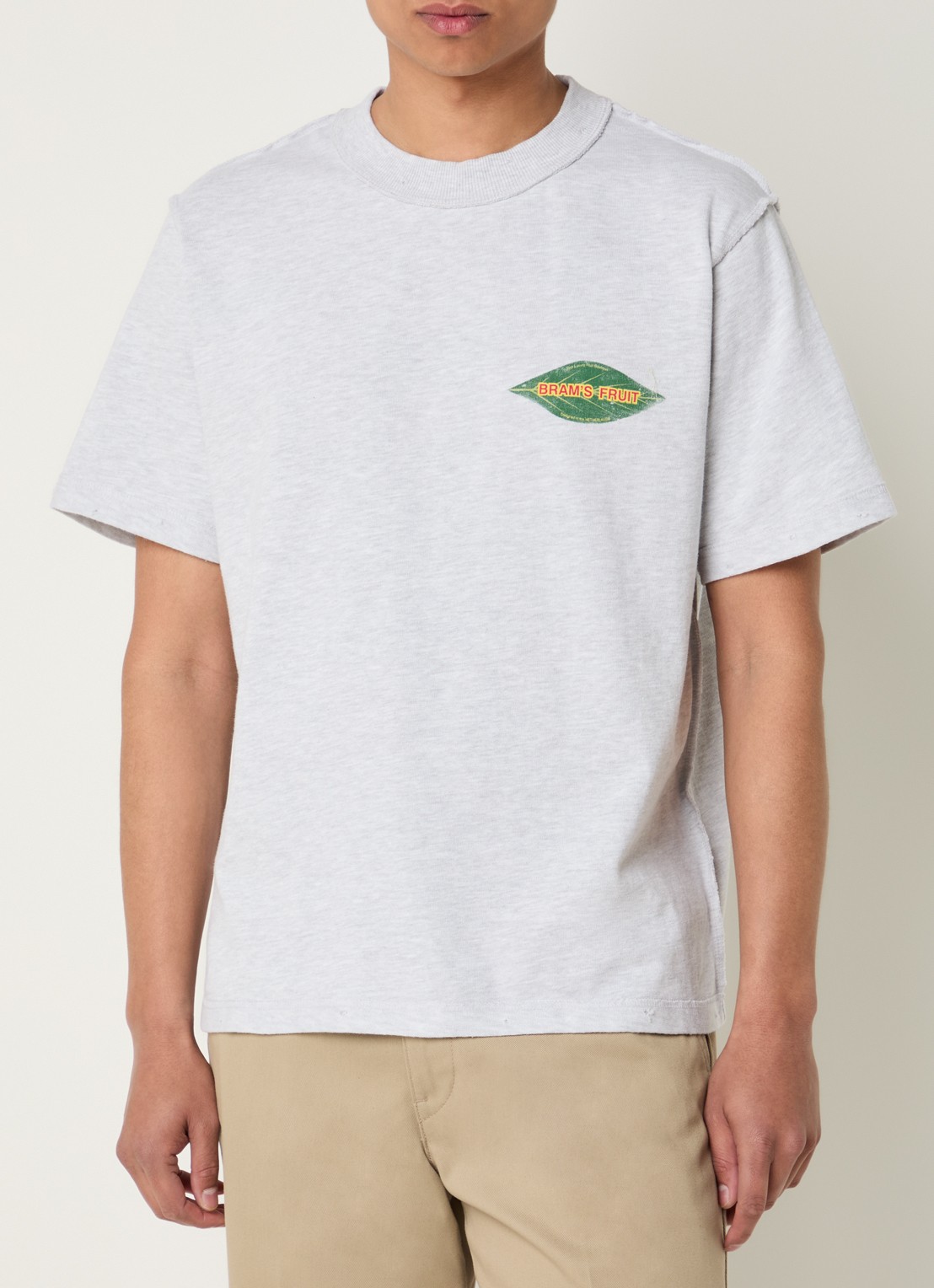Bram's Fruit Distressed Leaf T-shirt met logo- en backprint - achterkant 2 grijsmele