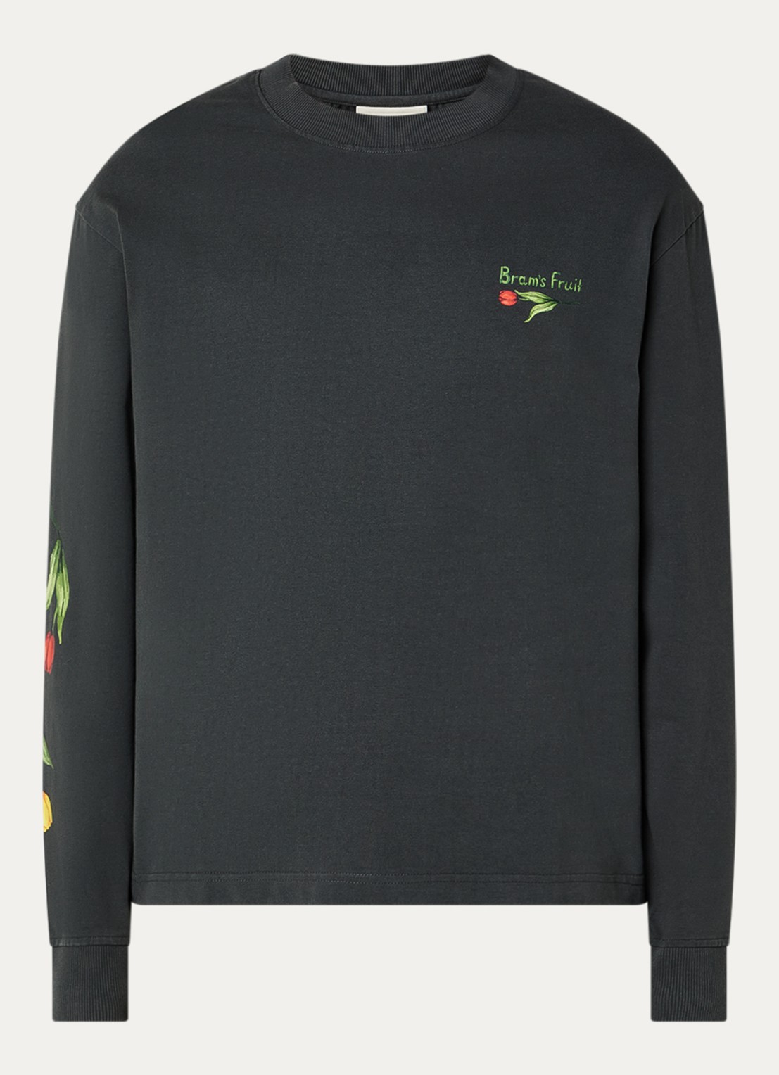 Bram's Fruit Flora 2.0 longsleeve met print - voorkant 2 zwart