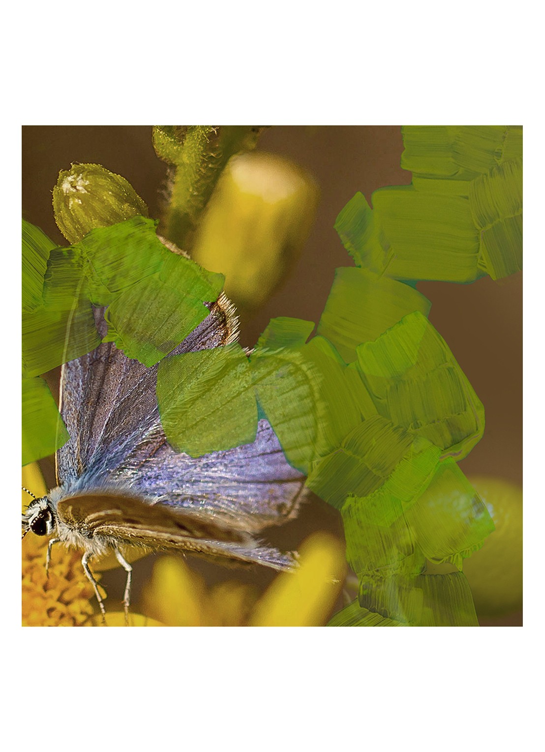 Byredo Animalique Eau de Parfum - detail 2 undefined