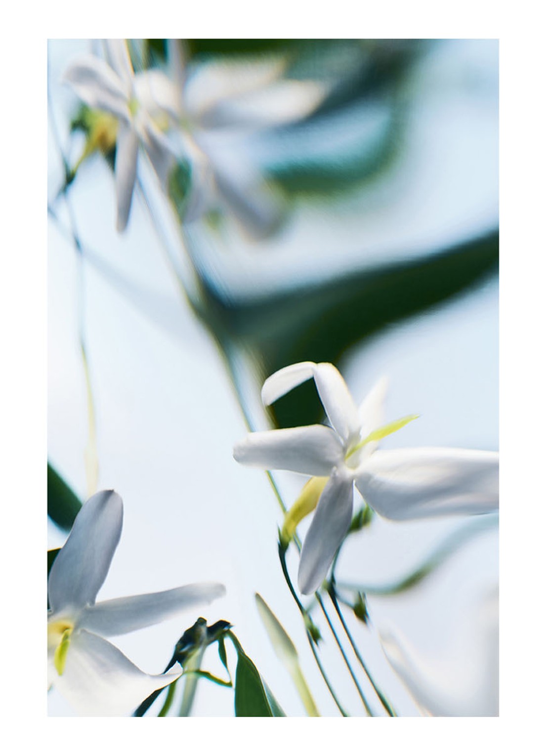 Byredo Blanche Absolu de parfum - detail 3 beige