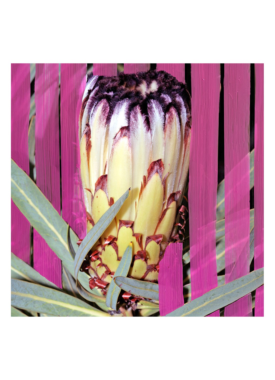 Byredo Inflorenscence Eau de Parfum - detail 5 undefined