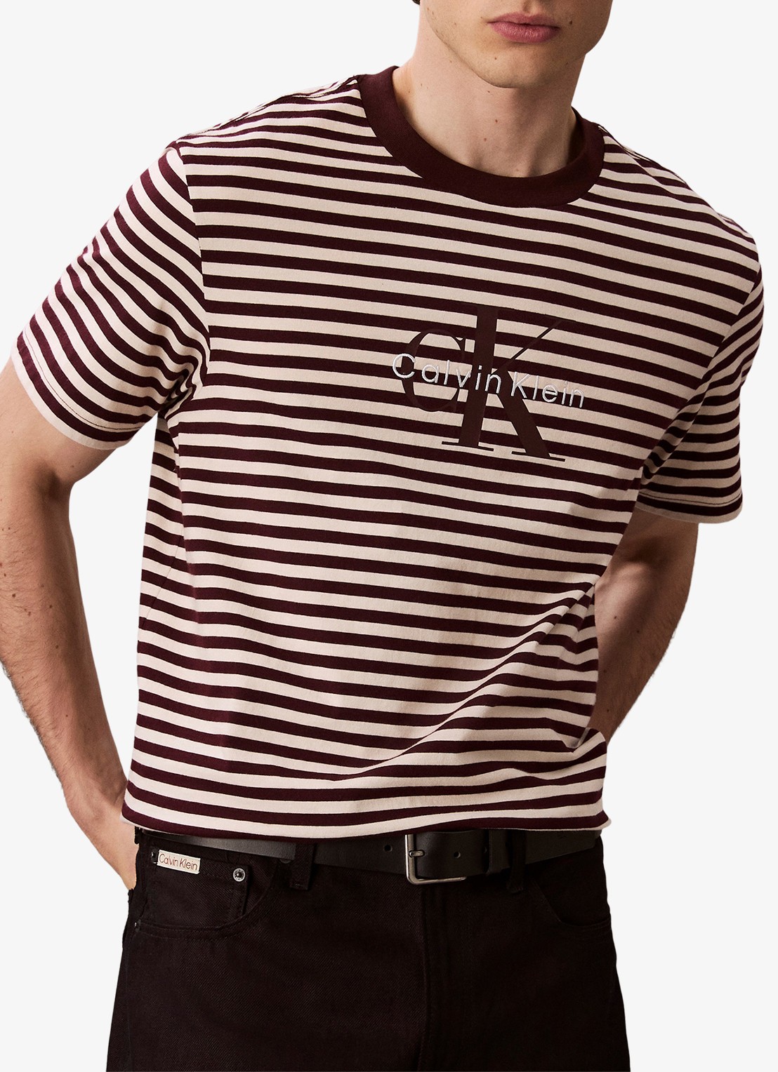Calvin Klein T-shirt met streepprint en logo - detail 6 bruin