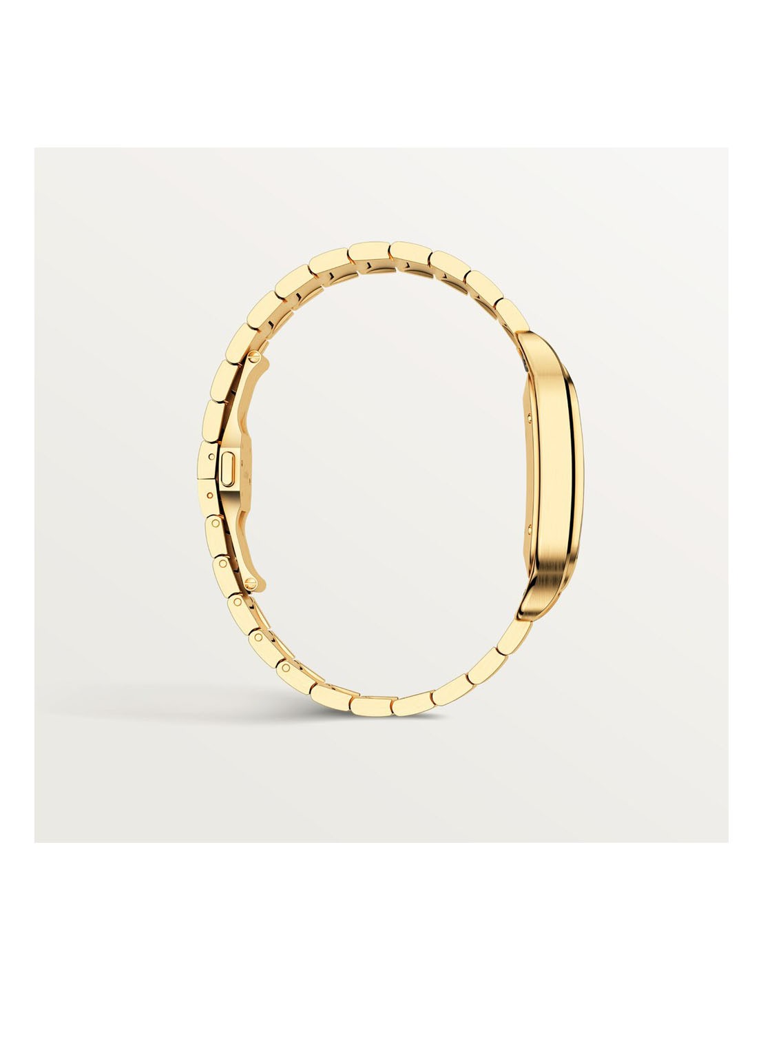 Cartier Santos de Cartier large horloge van 18 karaat geelgoud CRWGSA0042 - detail 5 geelgoud