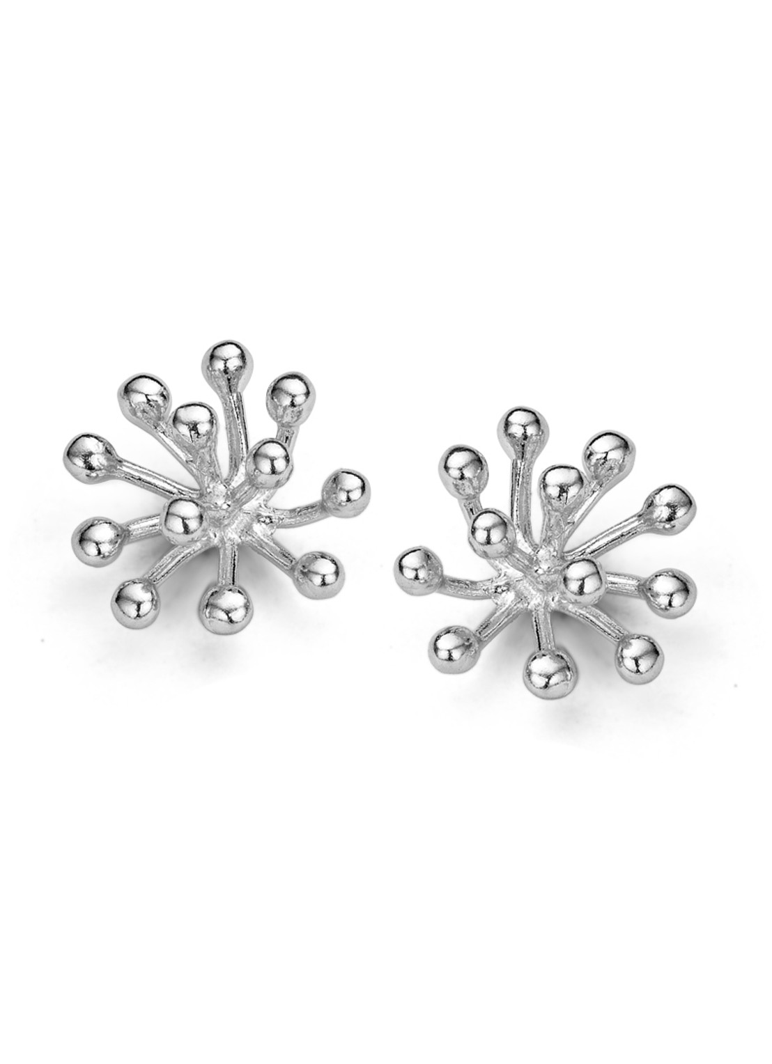 Casa Jewelry Porcu-2 oorknopjes van zilver - voorkant zilver