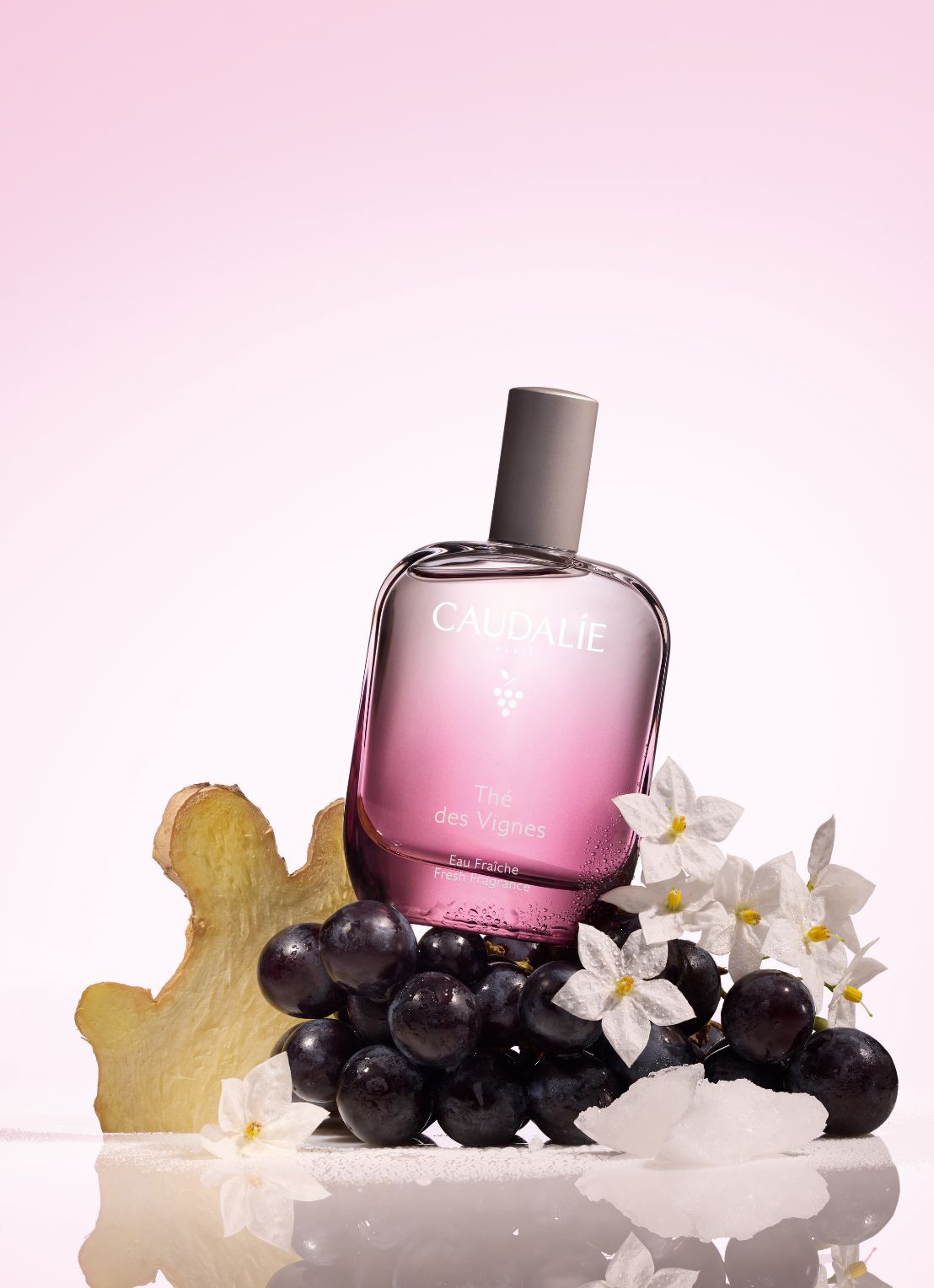 Caudalie Thé des Vignes Geurwater 50 ml  - voorkant 2 undefined