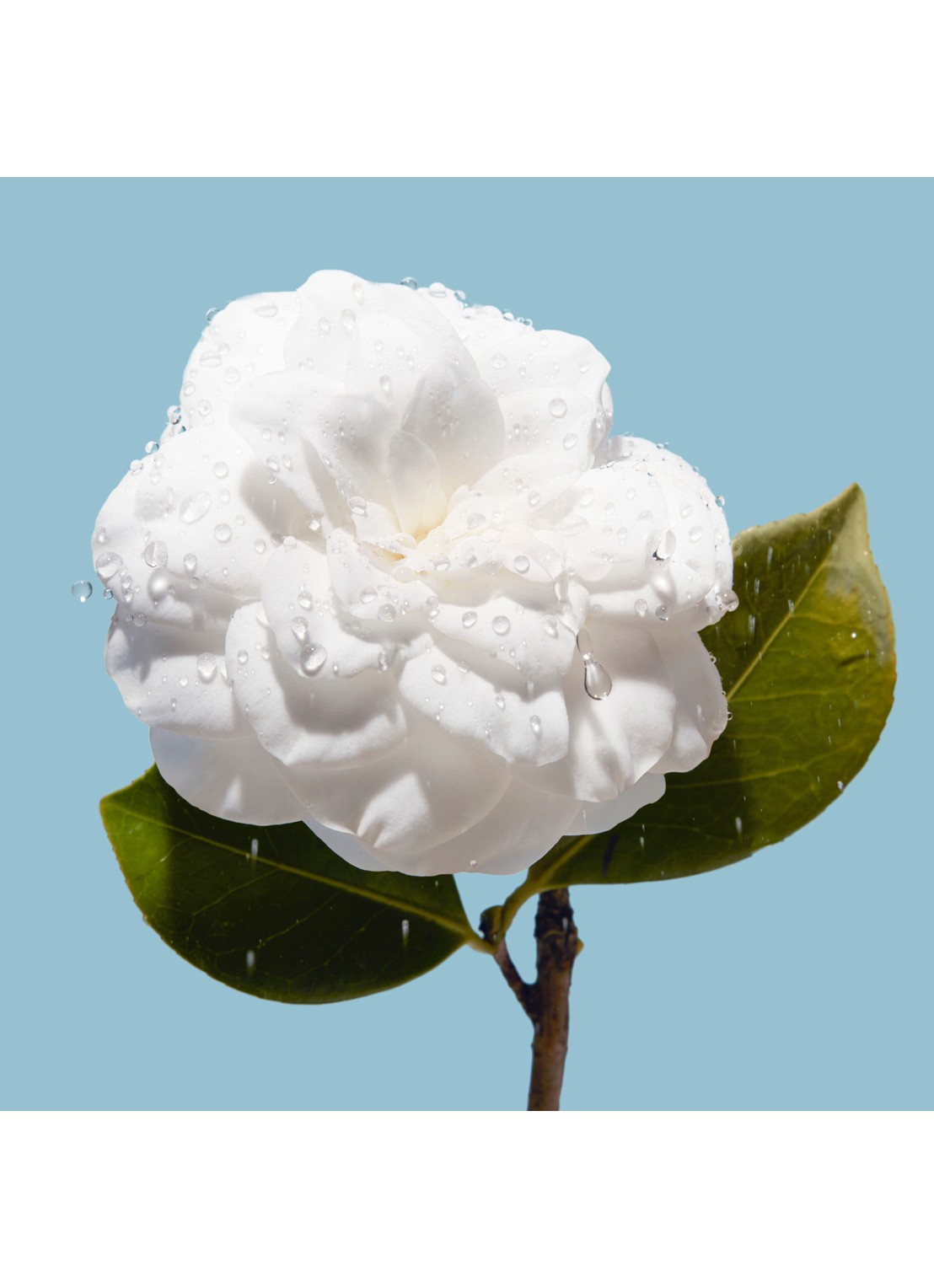 CHANEL HYDRATEREND INTENS VOLLER MAKEND - detail 5 undefined