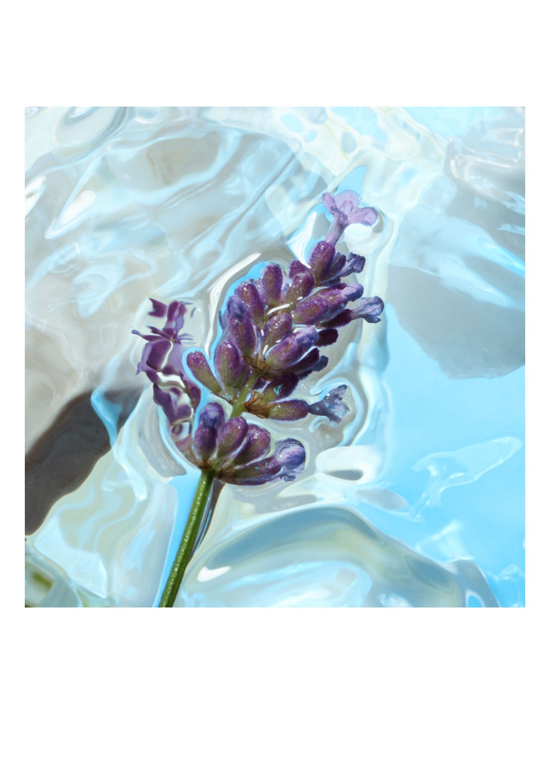 Charlotte Tilbury Calm Bliss Eau de Parfum - detail 4 undefined