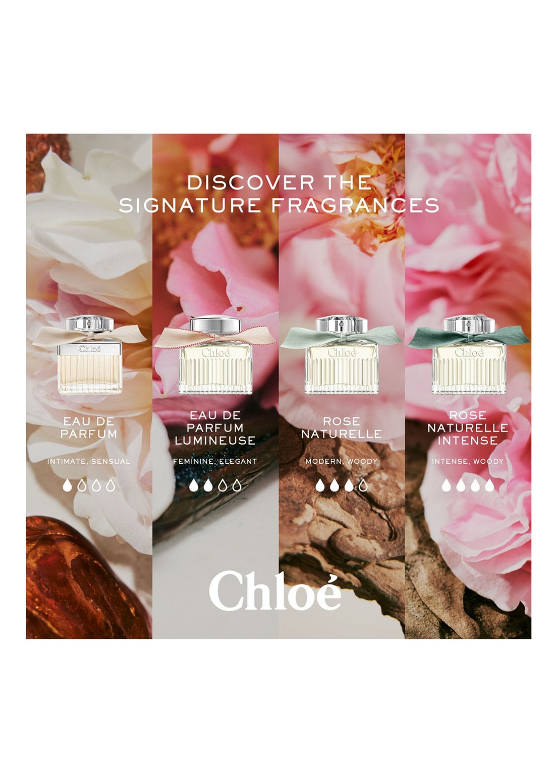 Chloé Eau de Parfum Lumineuse - detail 4 undefined