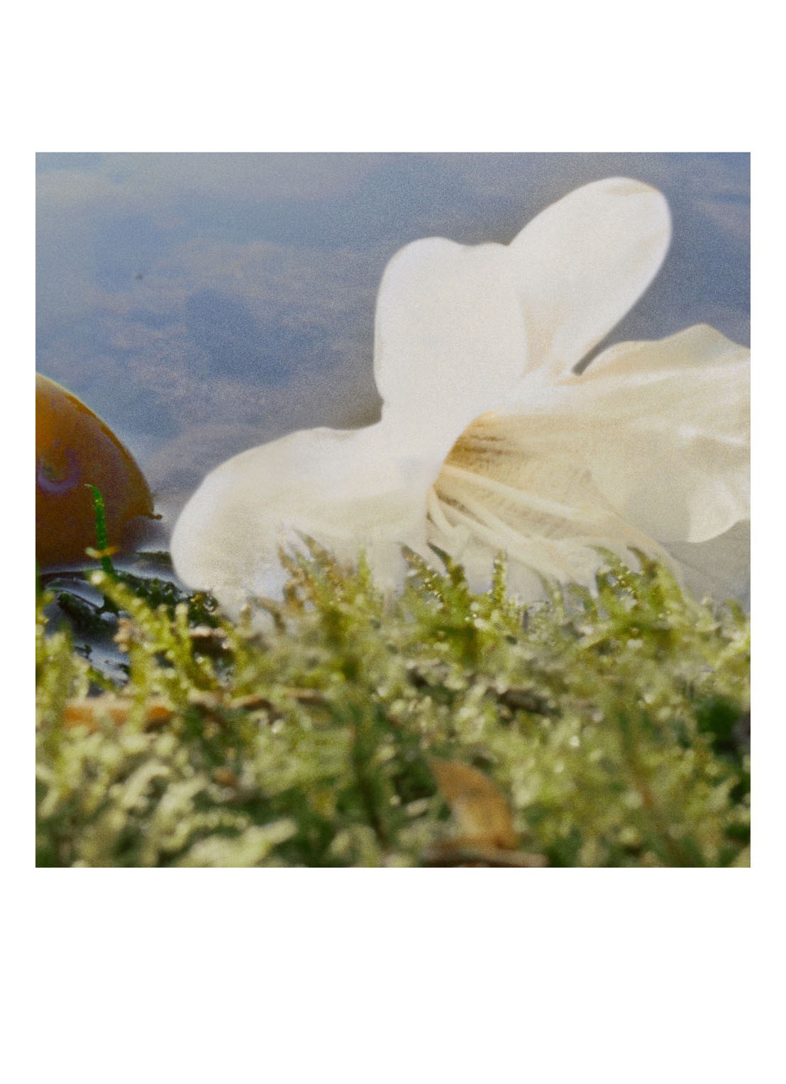 Chloé Nomade Eau de Parfum - detail 6 undefined